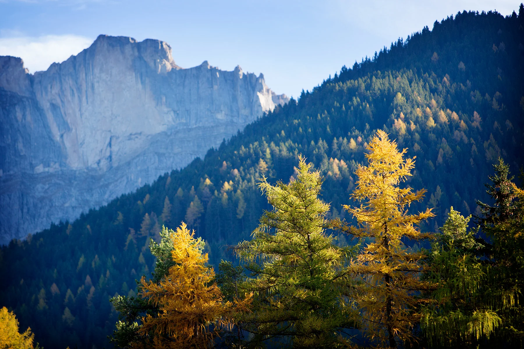 blogg-171026fallerhof9.jpg