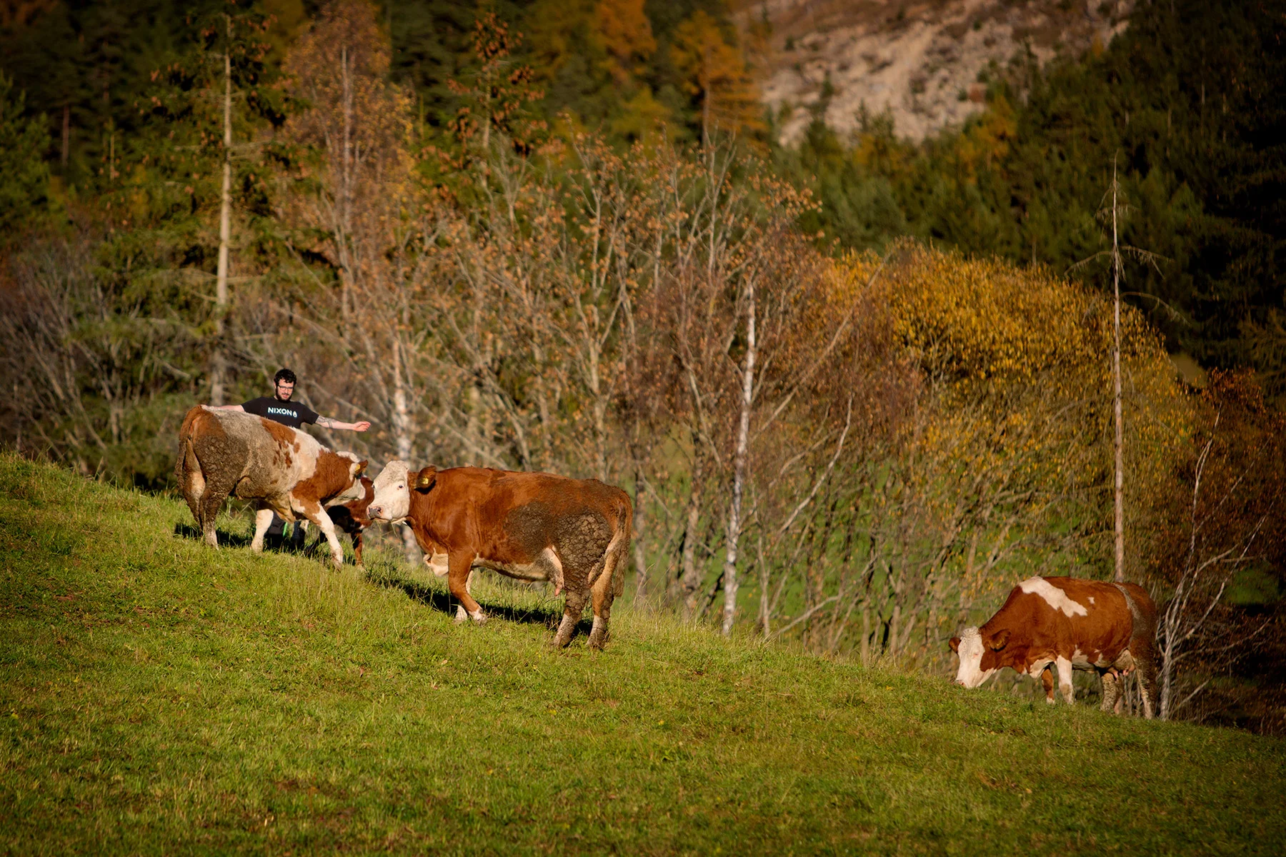 blogg-171026fallerhof15.jpg
