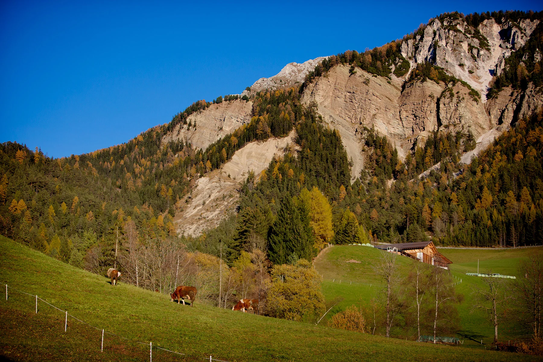 blogg-171026fallerhof13.jpg