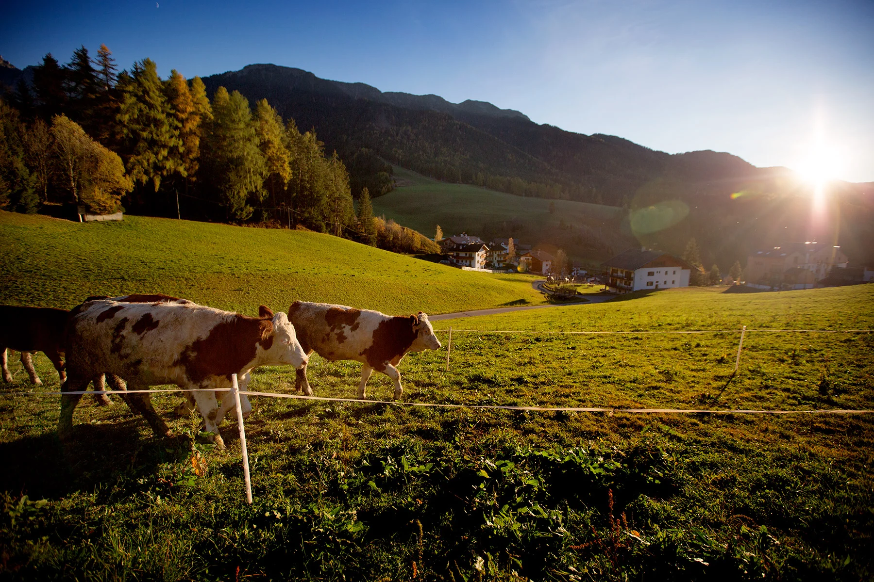 blogg-171026fallerhof17.jpg