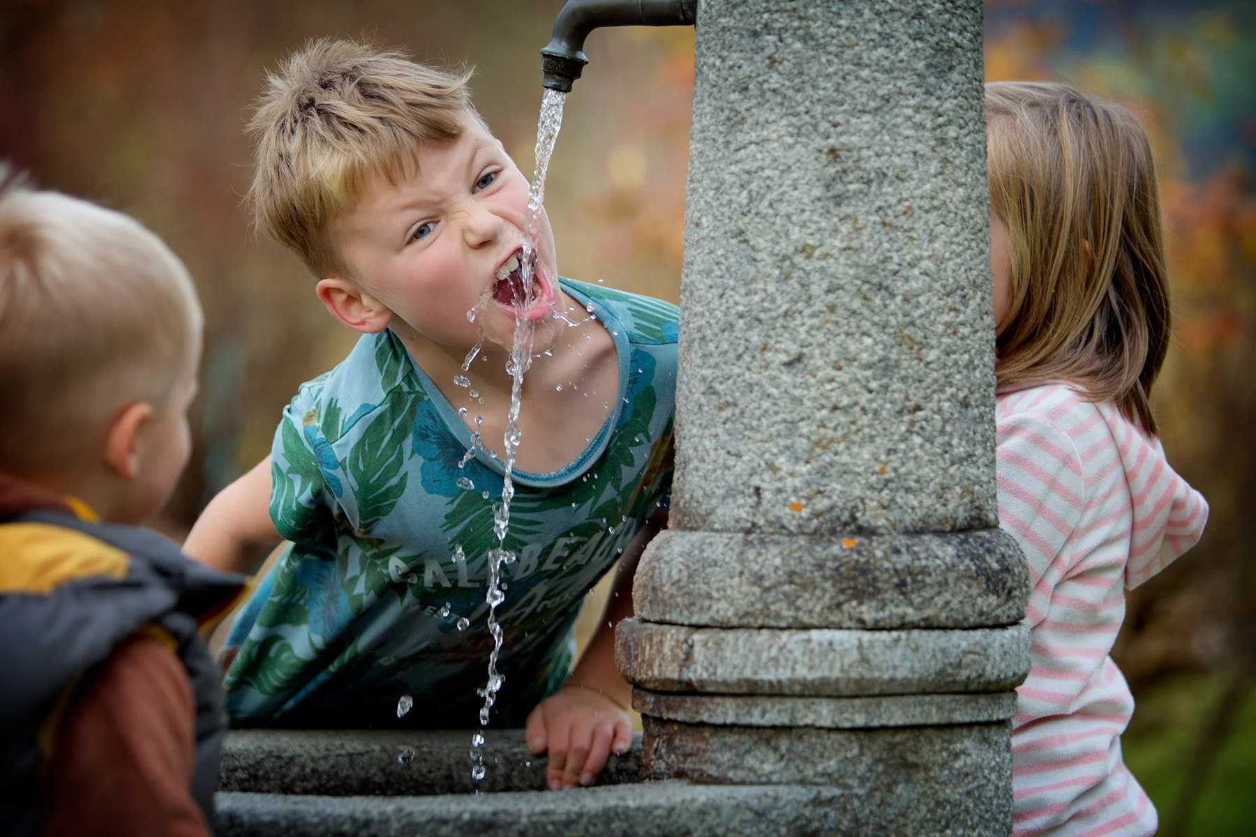 blogg-171028hopfgartenskogslekplats25.jpg