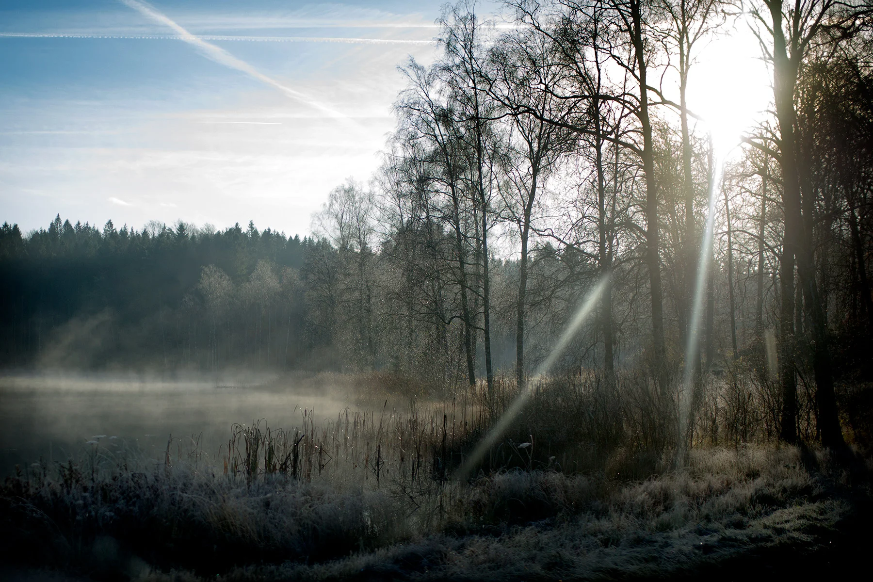 blogg-171107angarna3.jpg