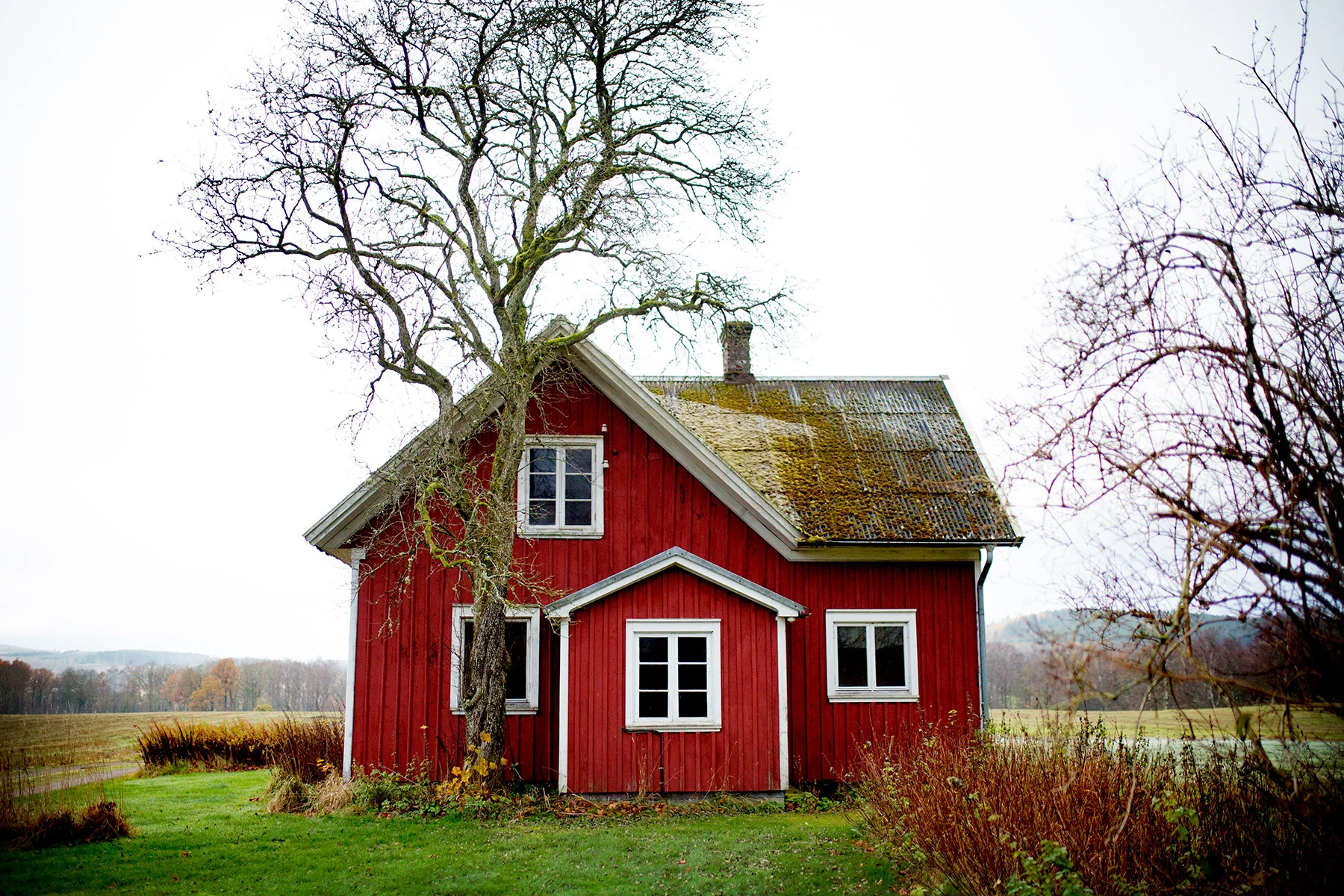 blogg-171107angarna4.jpg
