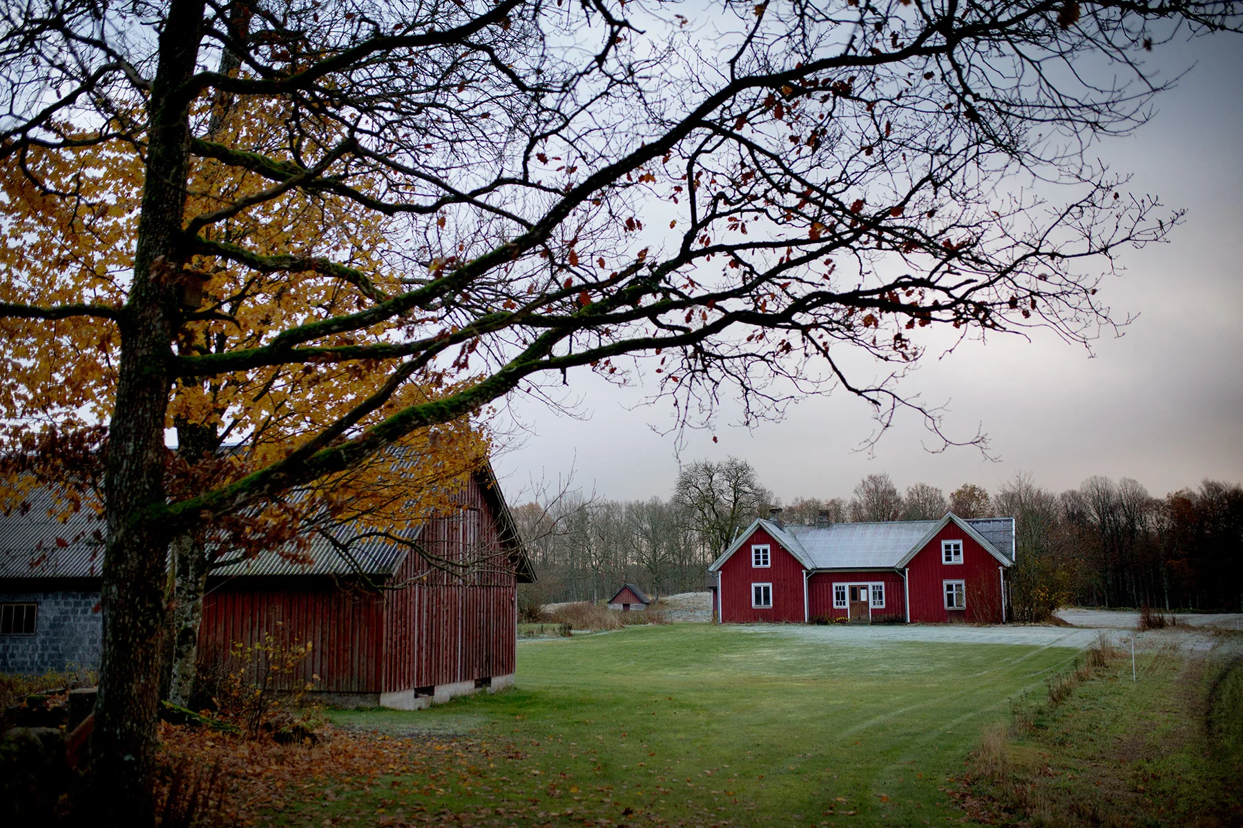 blogg-171107angarna16.jpg