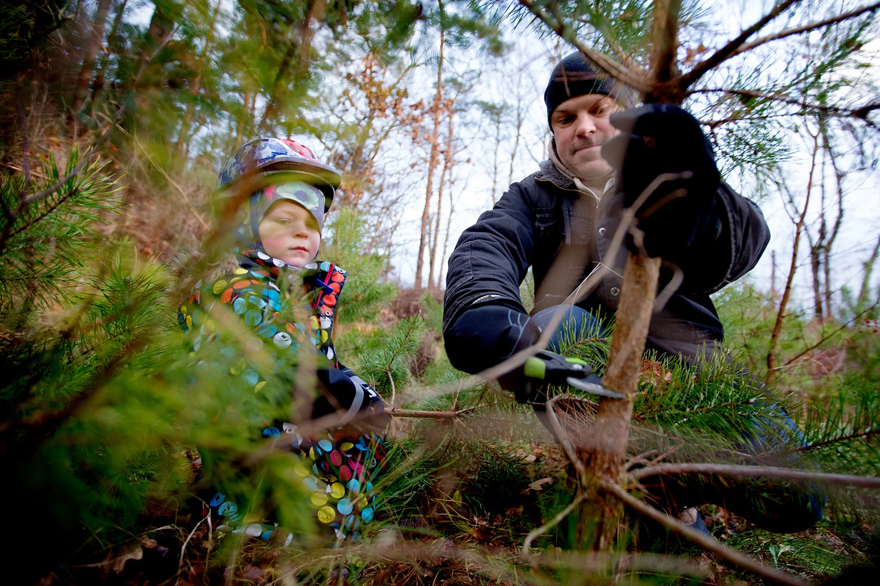 blogg-171210ambjorntorp2.jpg