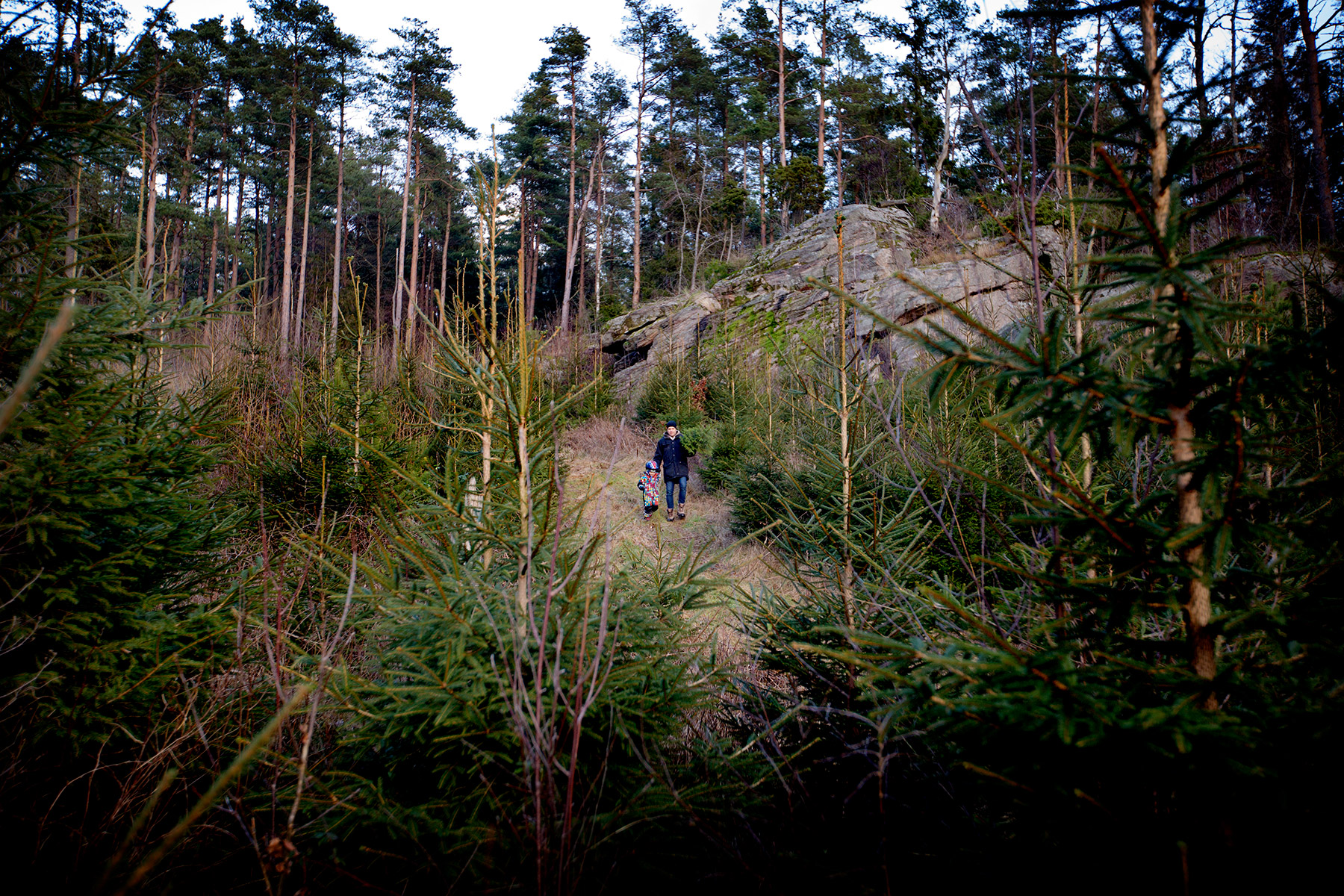 blogg-171210ambjorntorp4.jpg