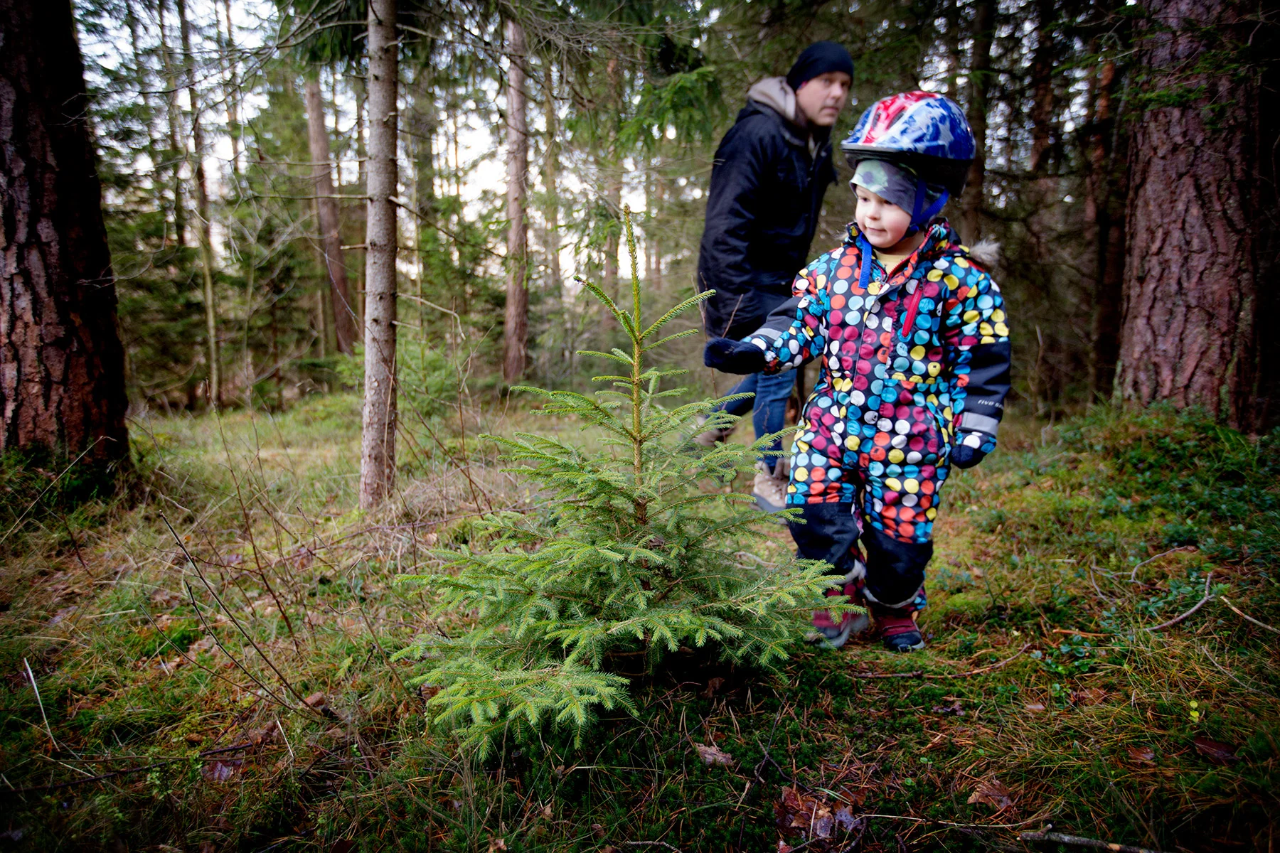blogg-171210ambjorntorp3.jpg