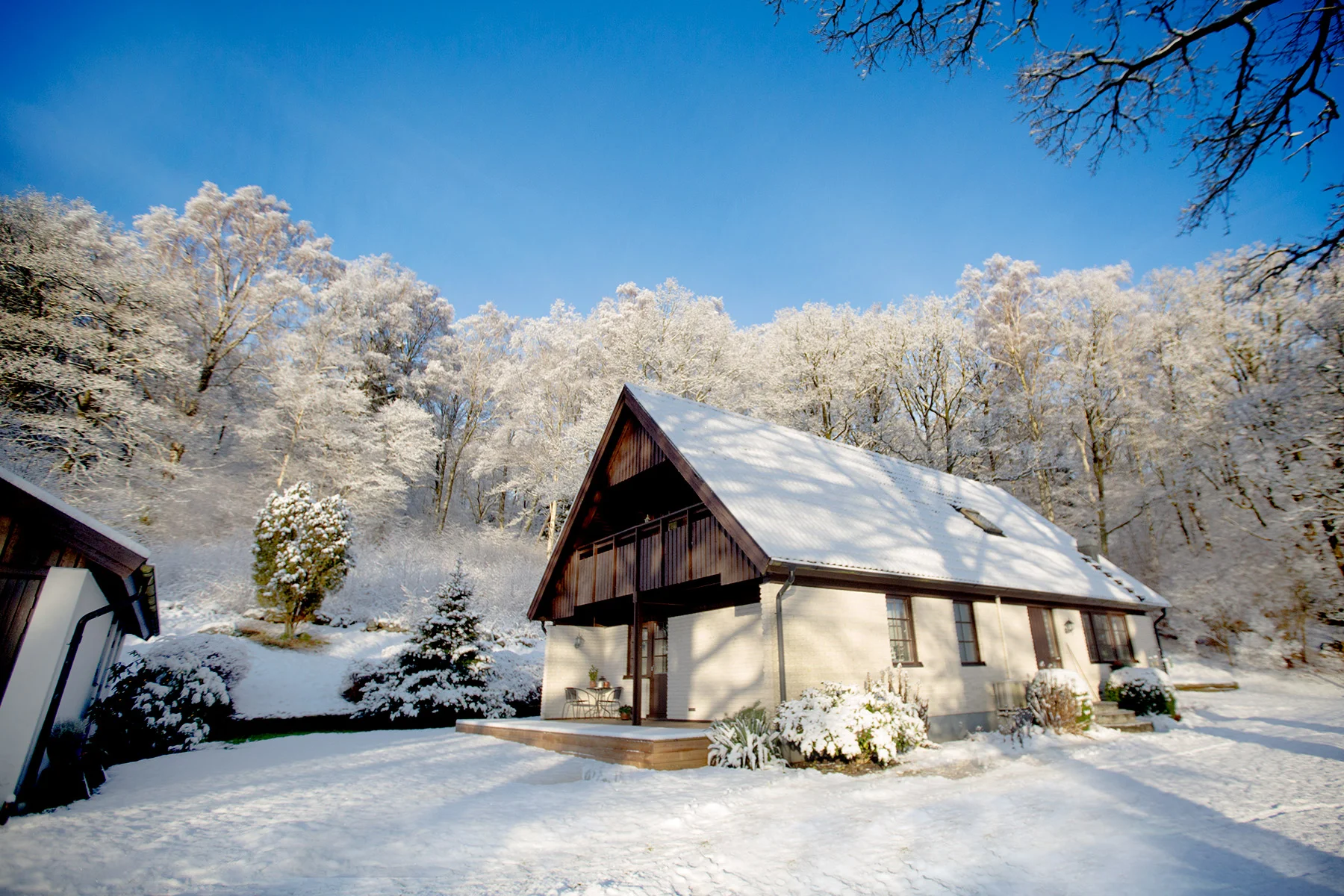 blogg-171217snowraceramb3.jpg