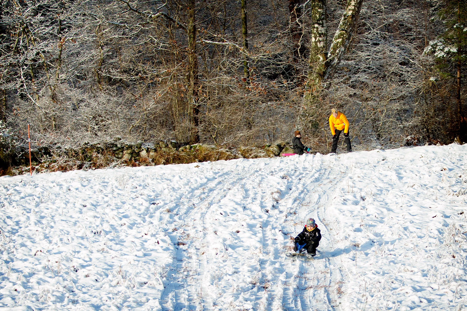 blogg-171217snowraceramb7.jpg