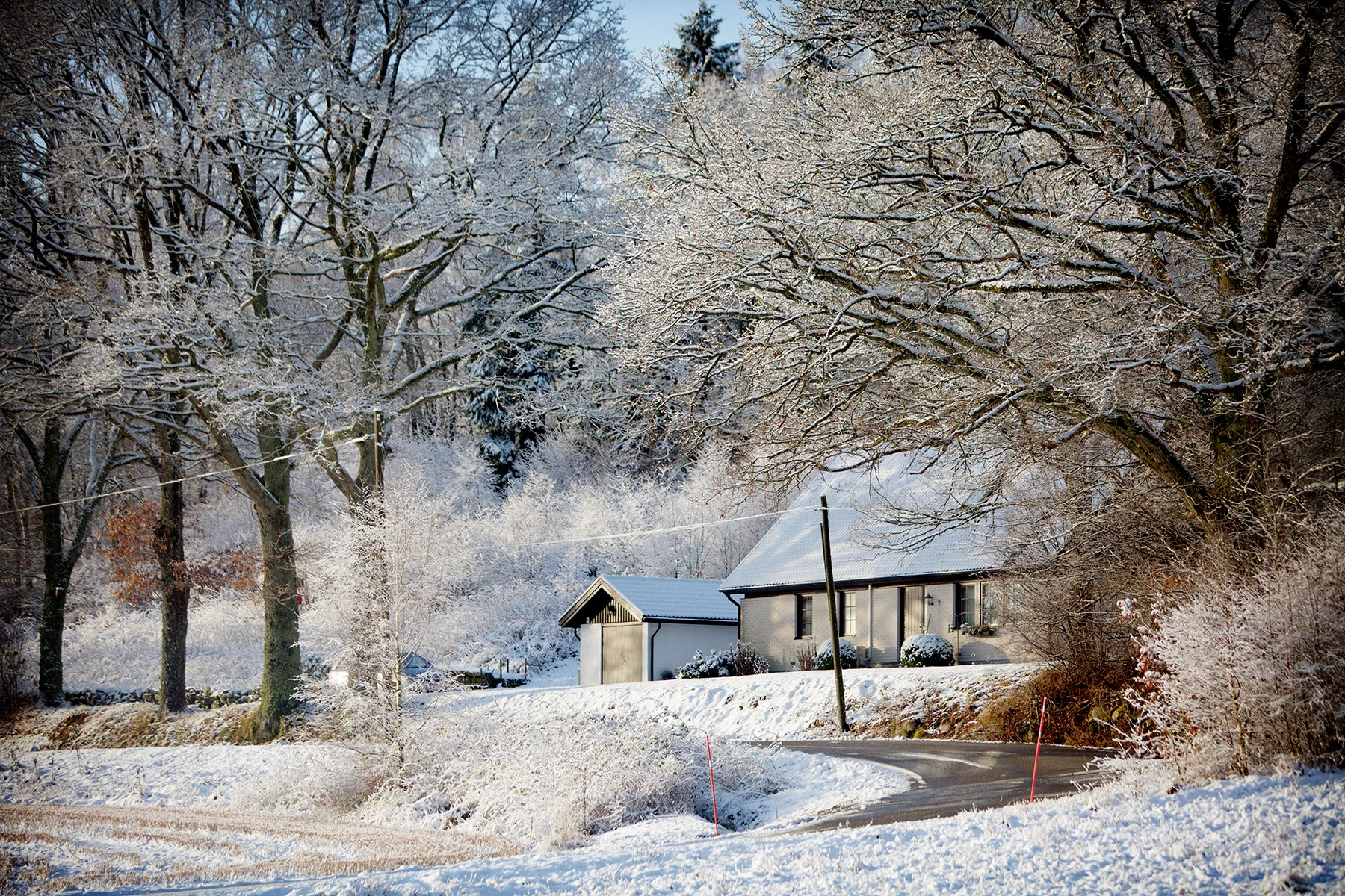 blogg-171217snowraceramb15.jpg