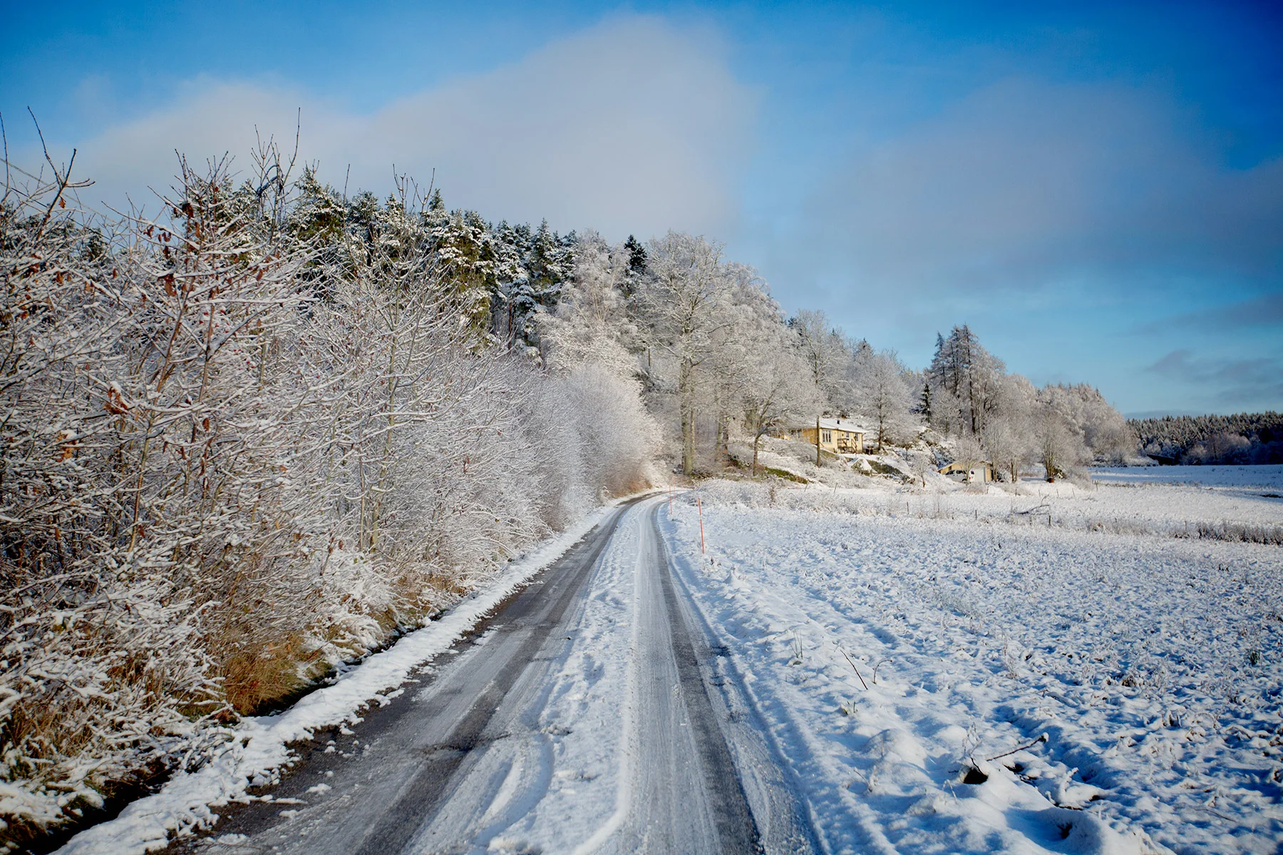 blogg-171217snowraceramb27.jpg