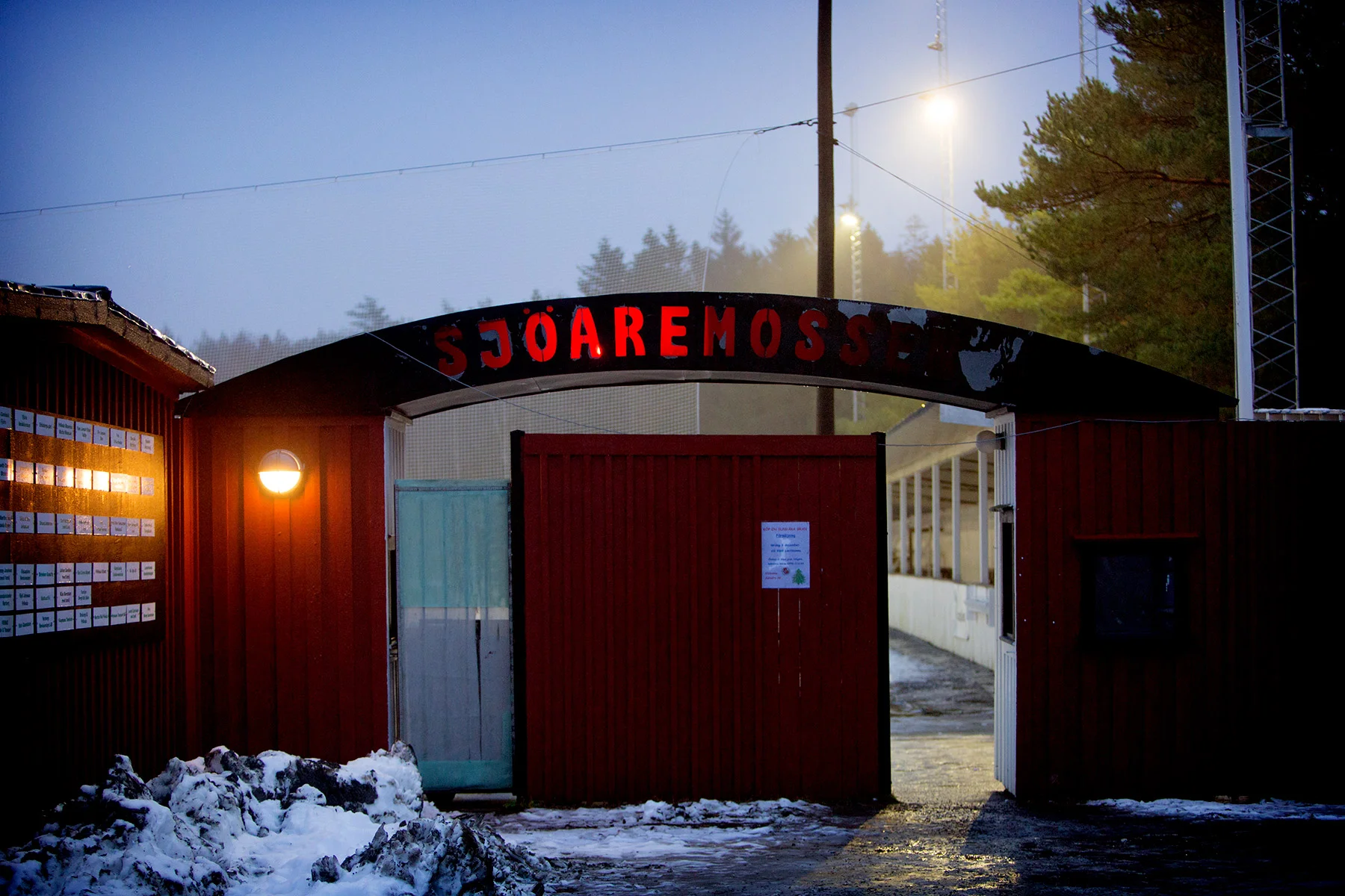 Sjöaremosshäng