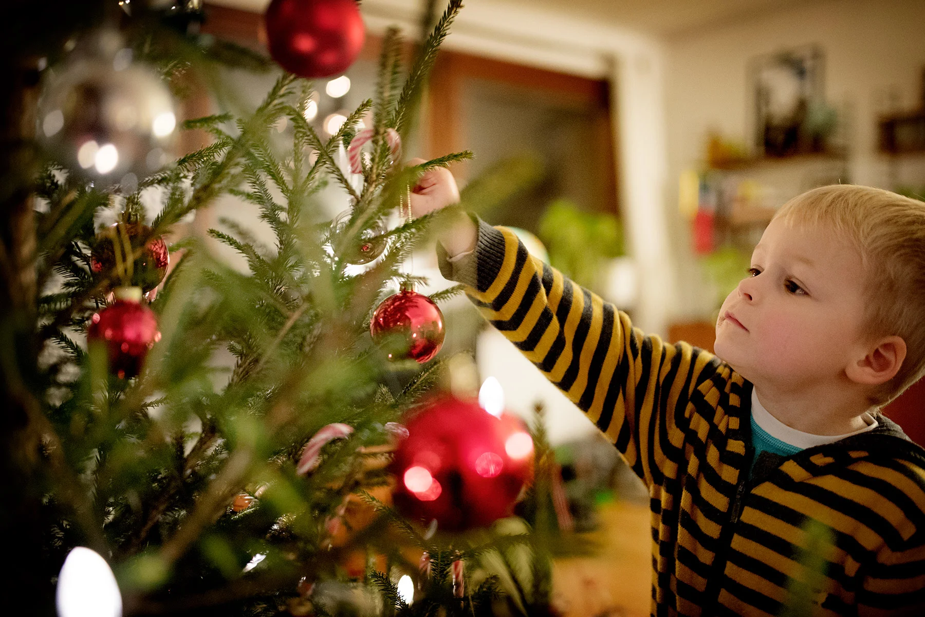 blogg-171218klajulgran6.jpg