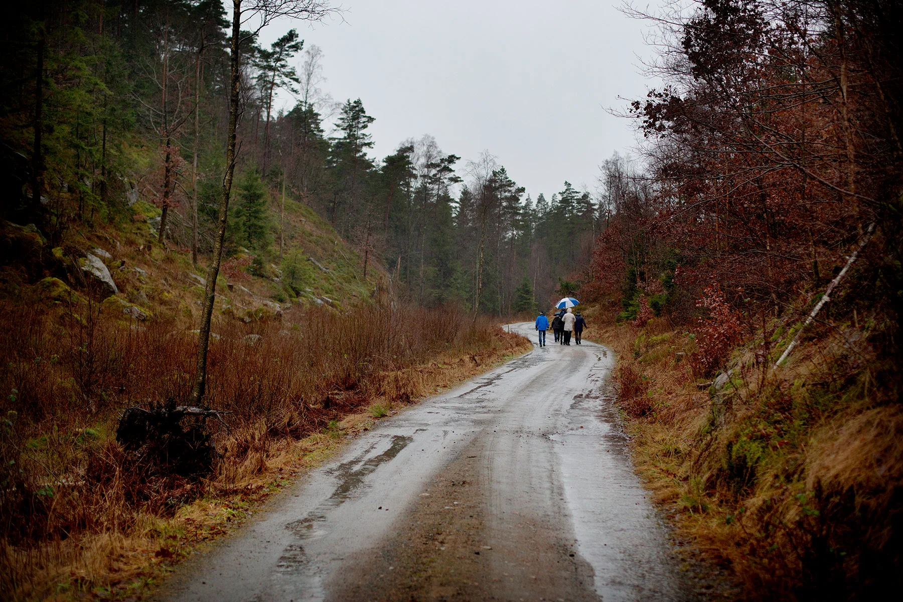 blogg-171225dranstugan8.jpg