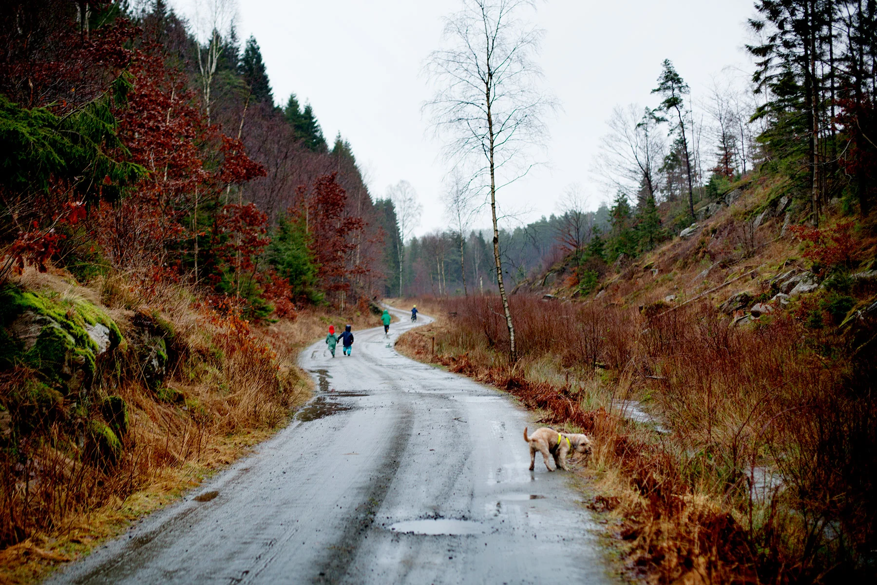 Juldagspromenad vid Dranstugan