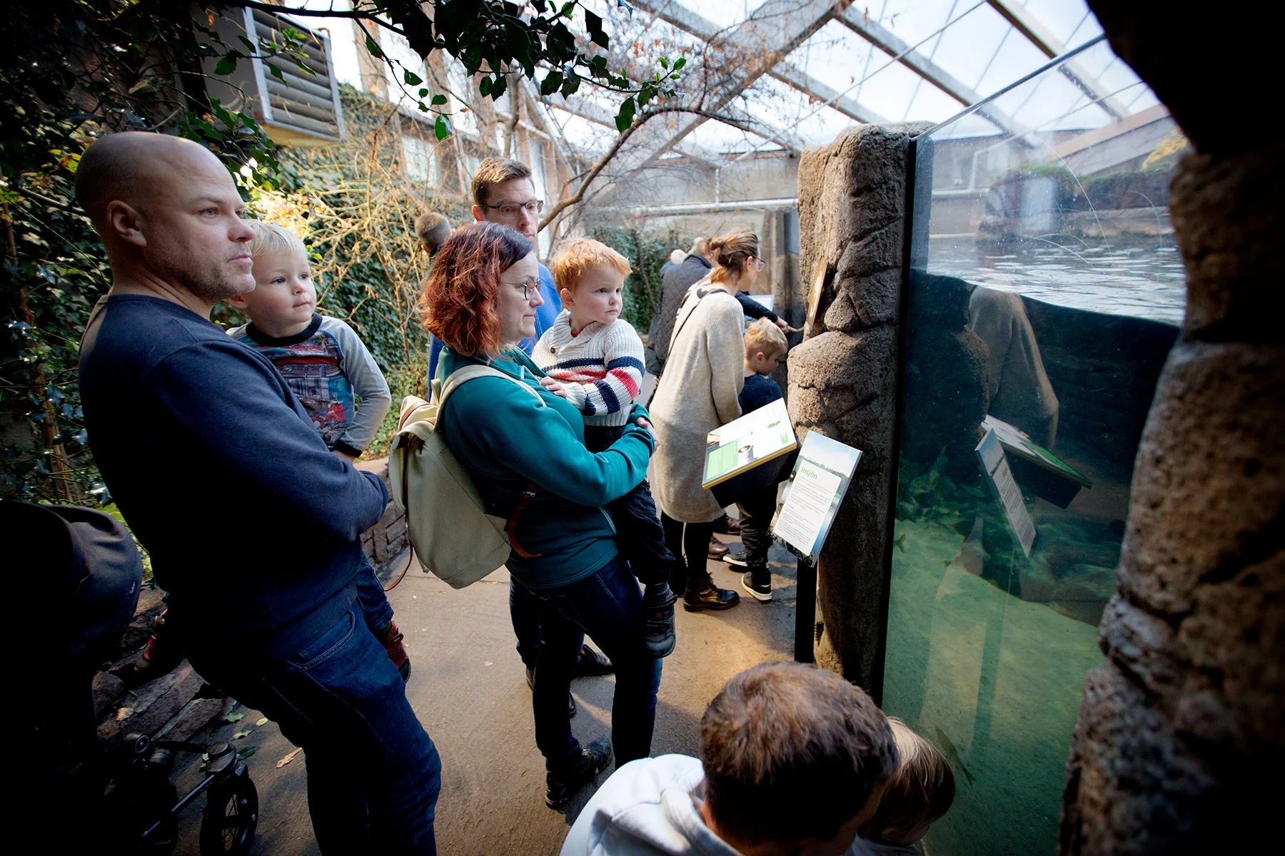 blogg-171227universeum3.jpg