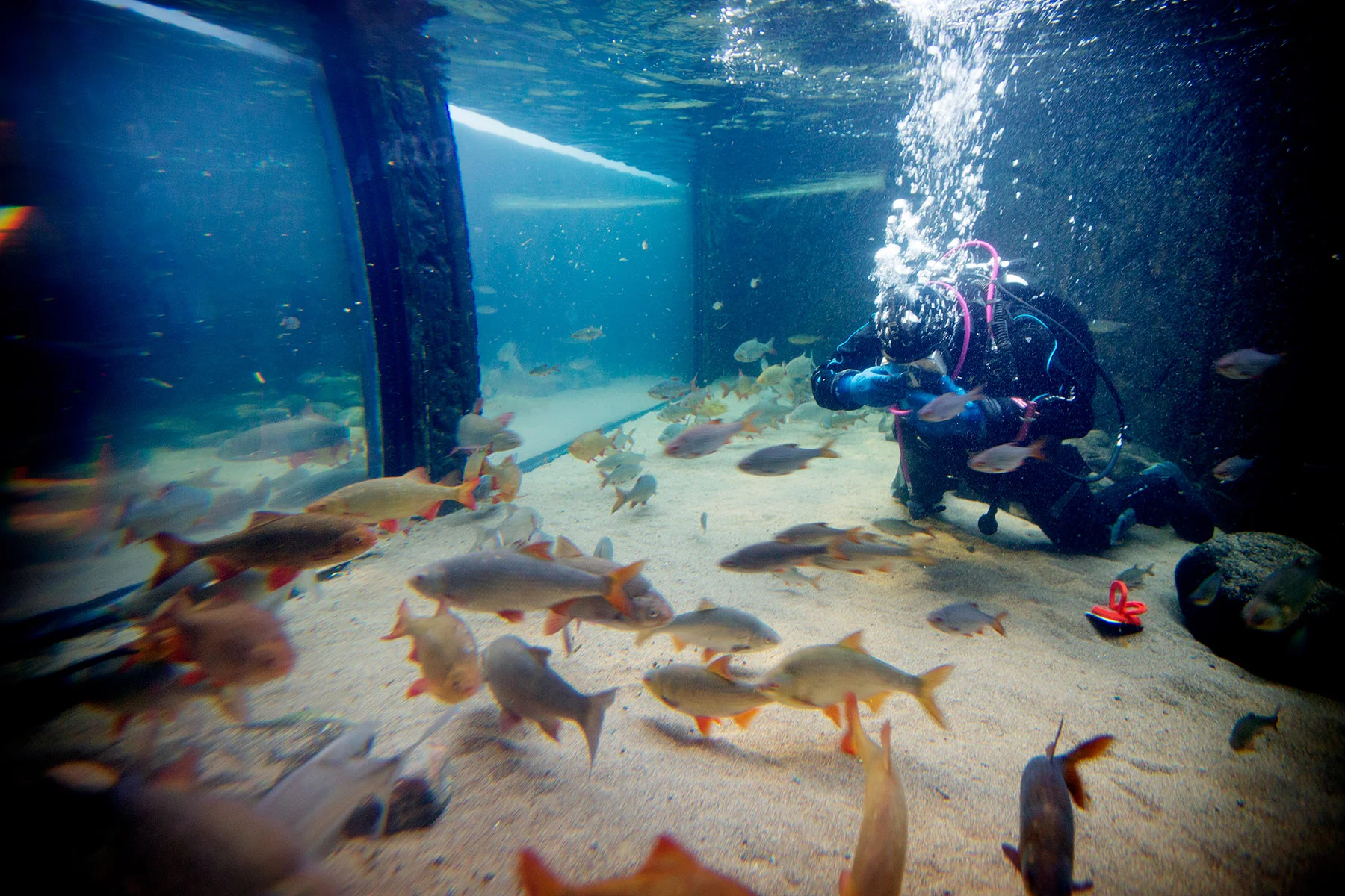 blogg-171227universeum2.jpg