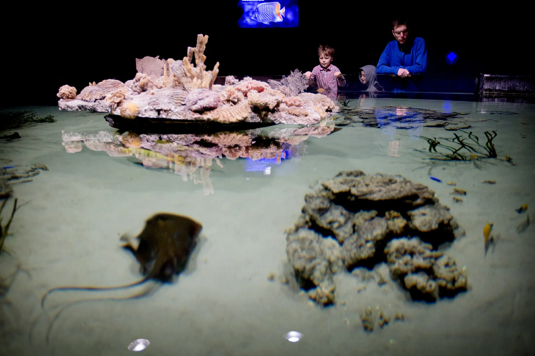 blogg-171227universeum4.jpg