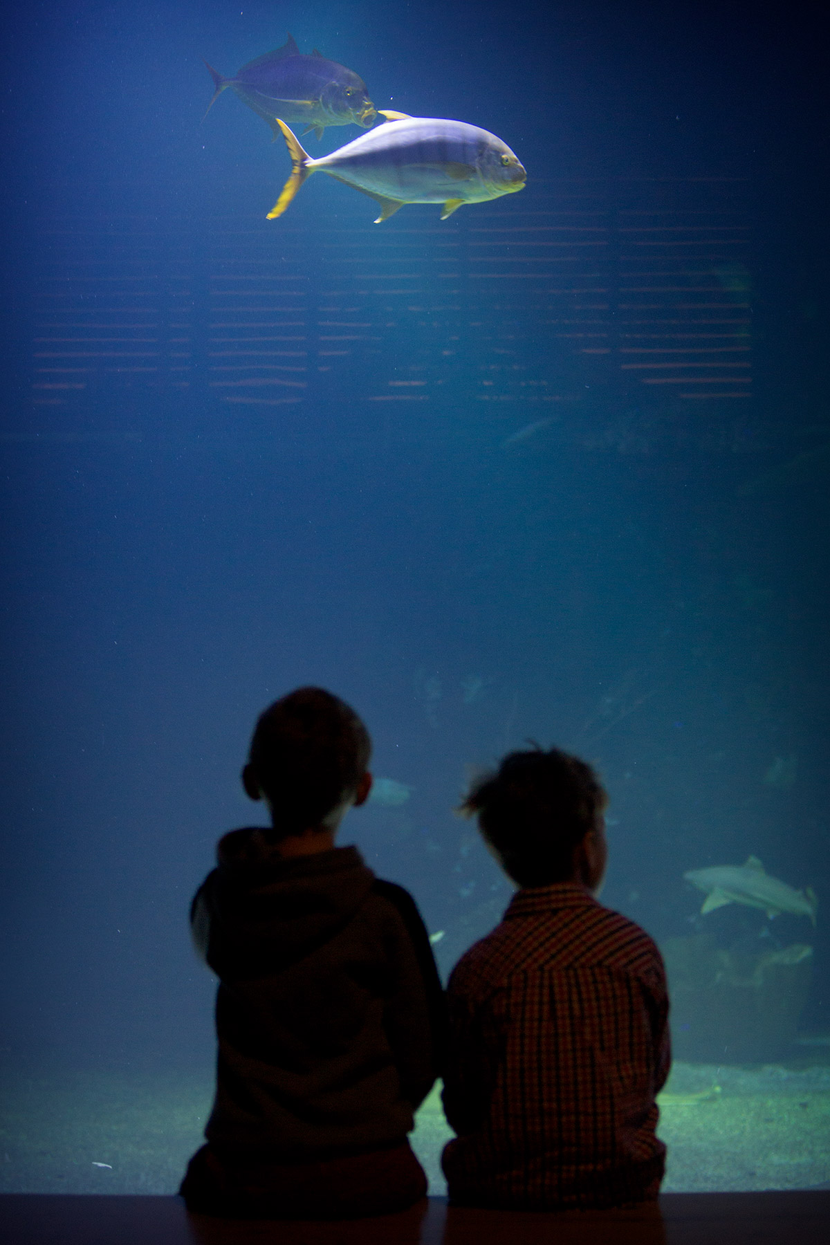 blogg-171227universeum5.jpg