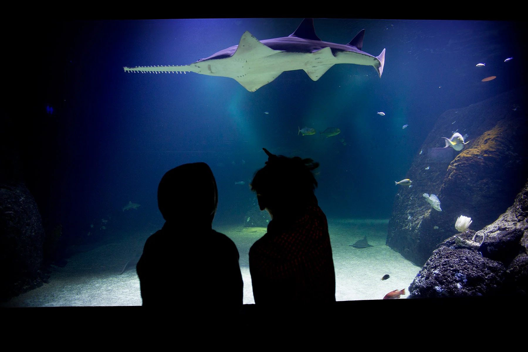 blogg-171227universeum7.jpg
