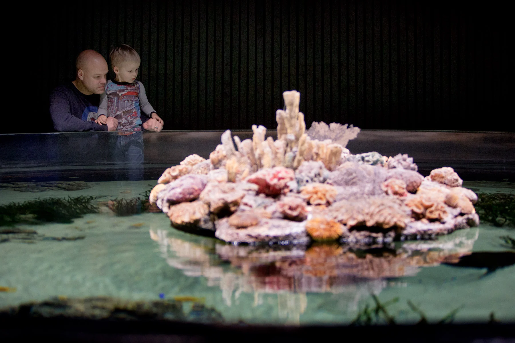 blogg-171227universeum6.jpg
