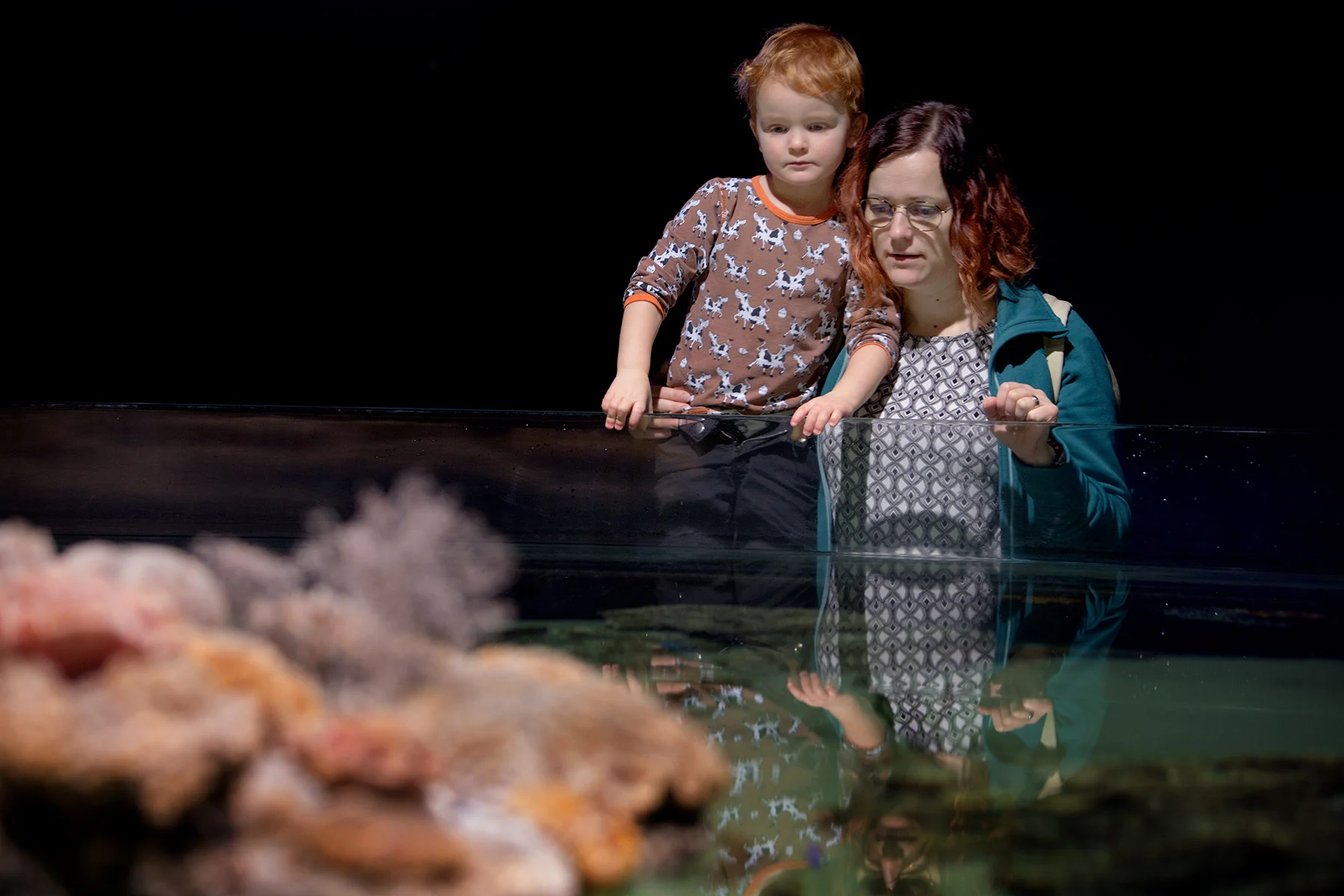 blogg-171227universeum8.jpg