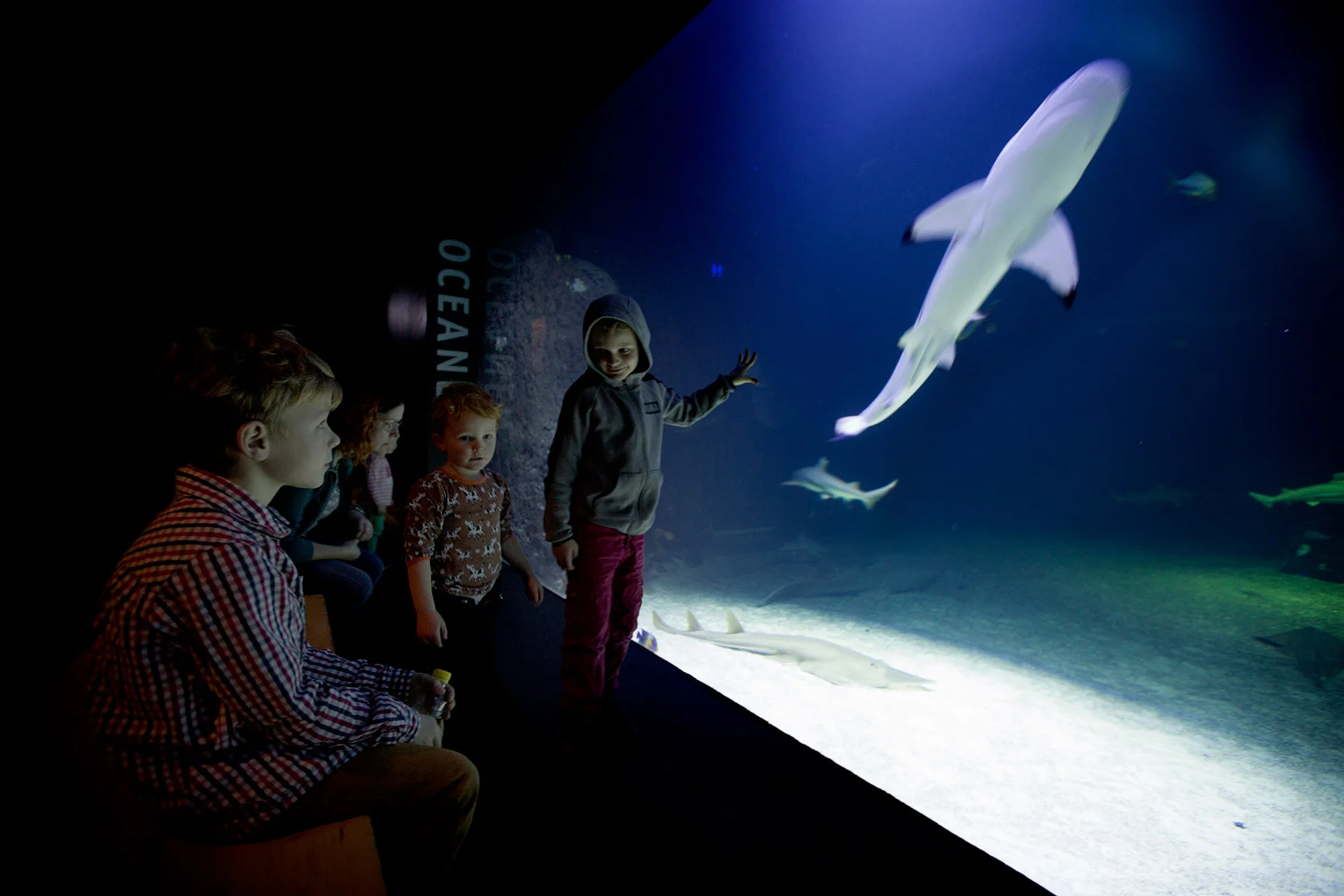 blogg-171227universeum10.jpg