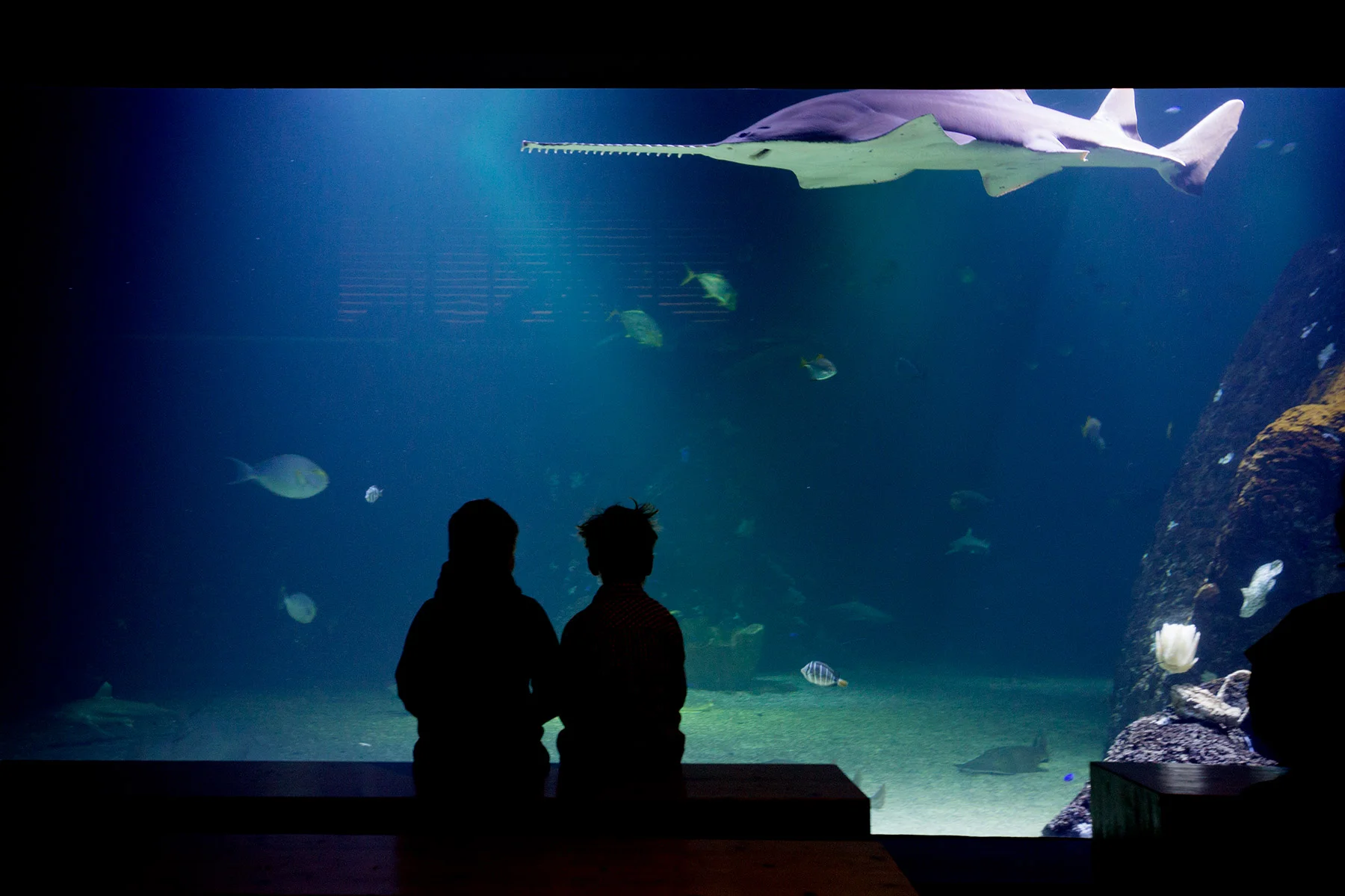 blogg-171227universeum11.jpg
