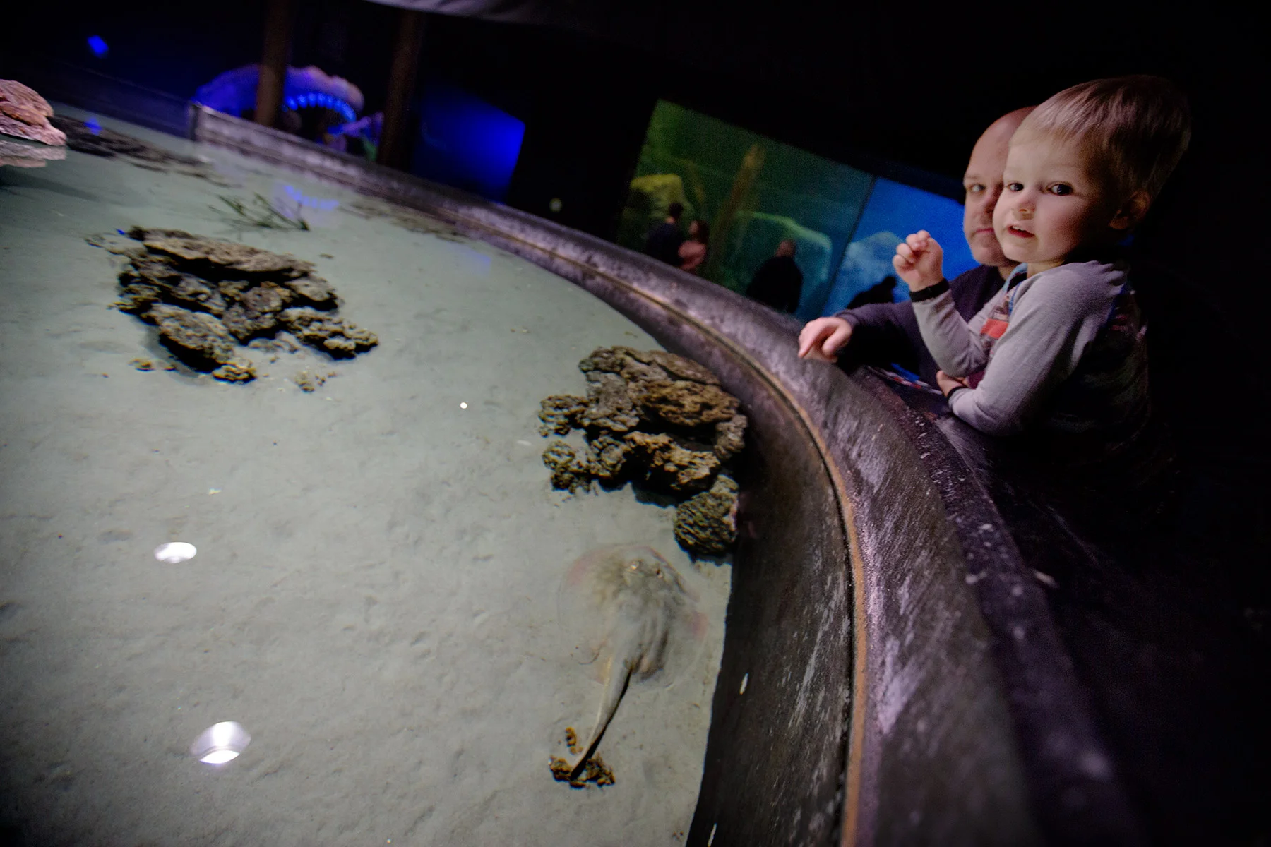 blogg-171227universeum12.jpg