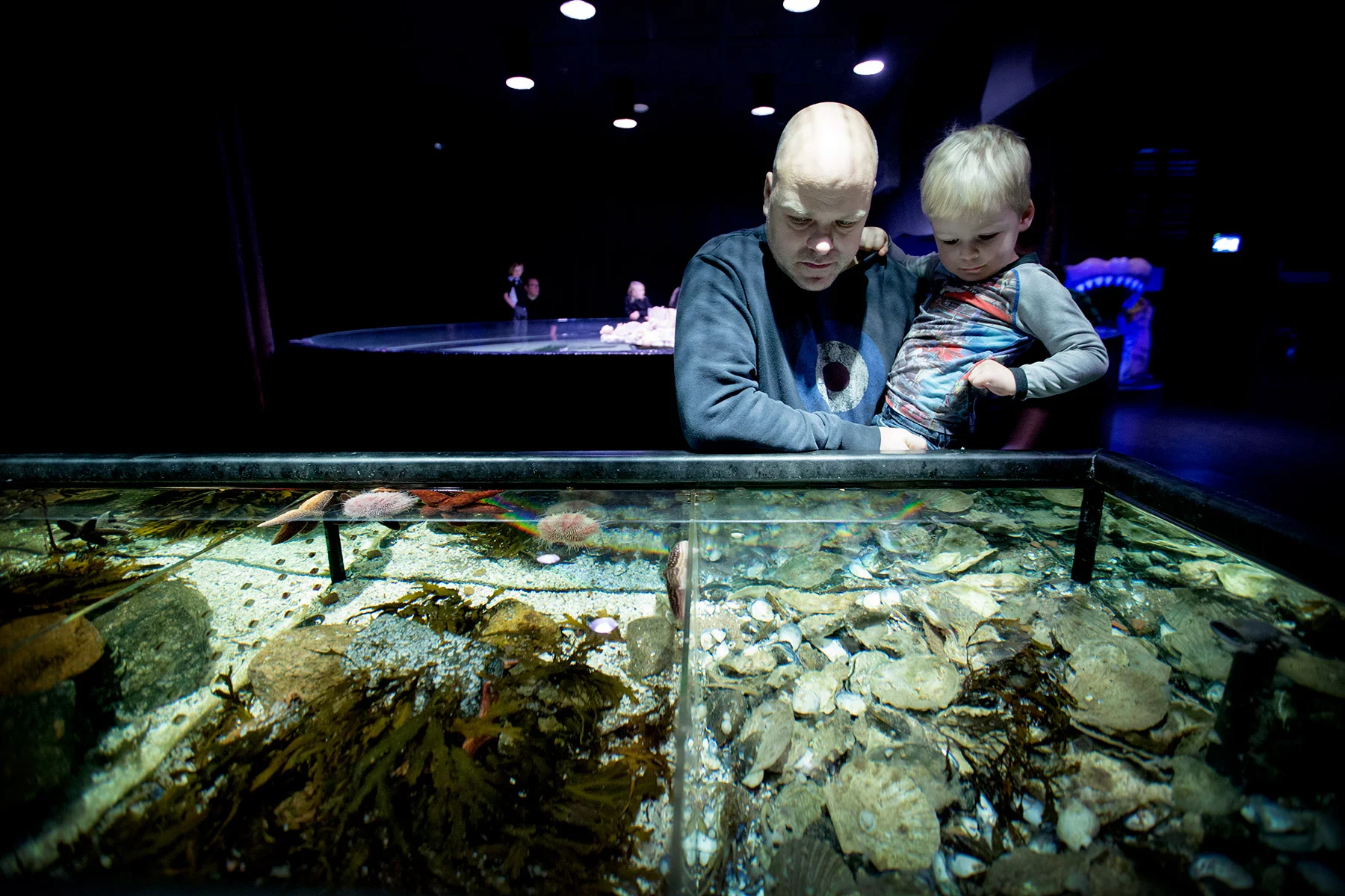 blogg-171227universeum9.jpg
