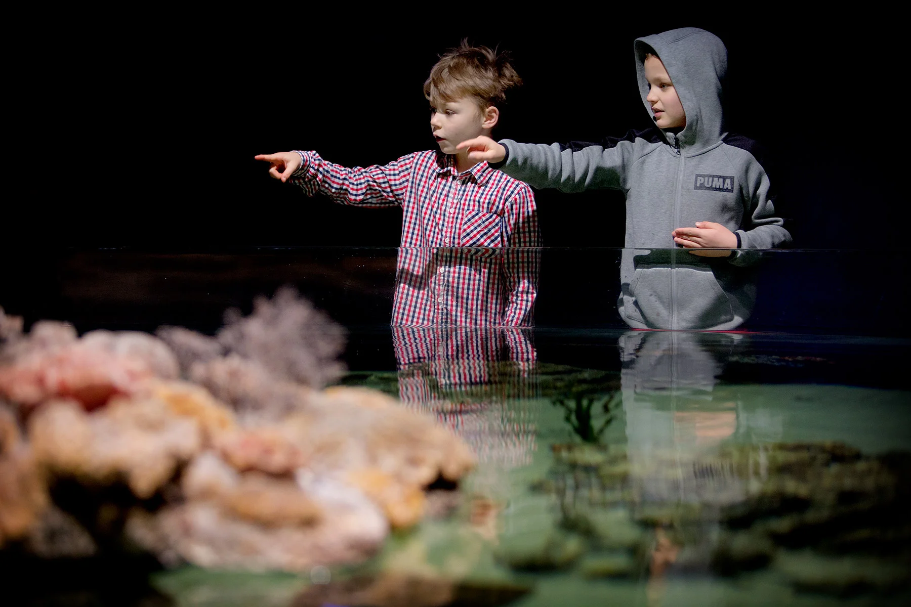 blogg-171227universeum13.jpg