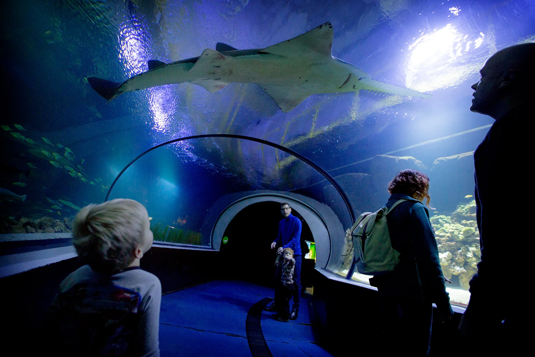 blogg-171227universeum15.jpg