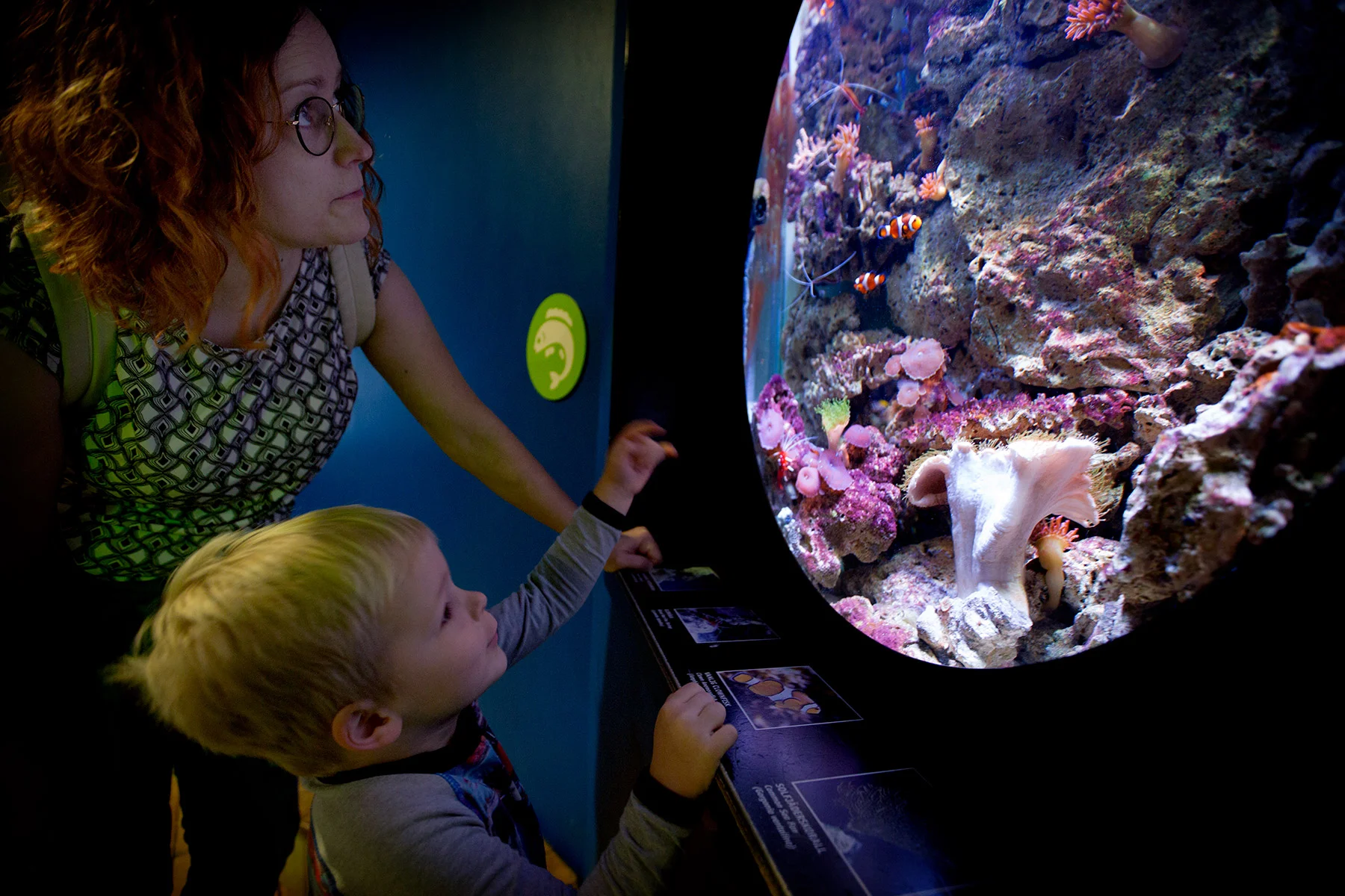 blogg-171227universeum17.jpg