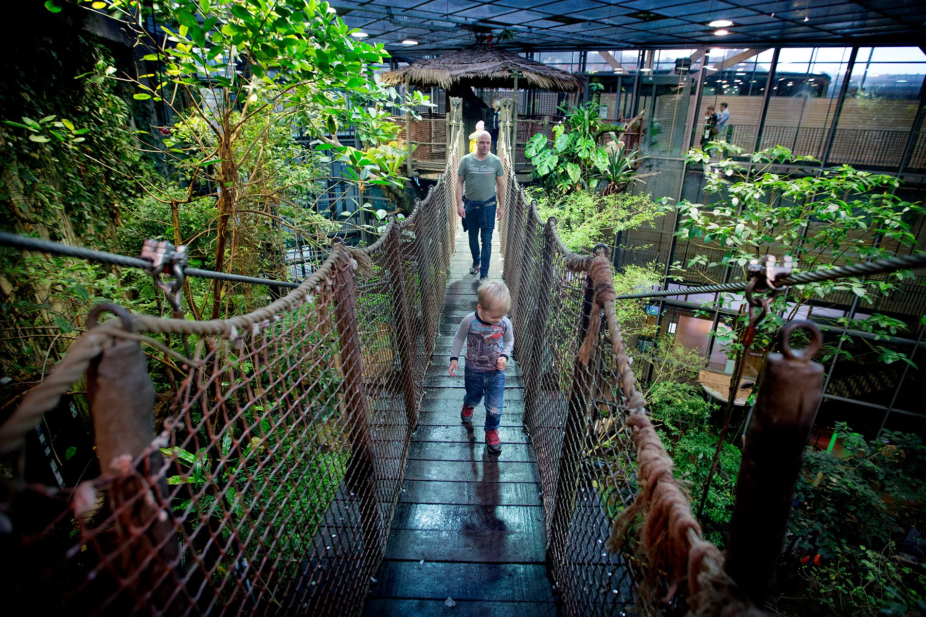 blogg-171227universeum22.jpg