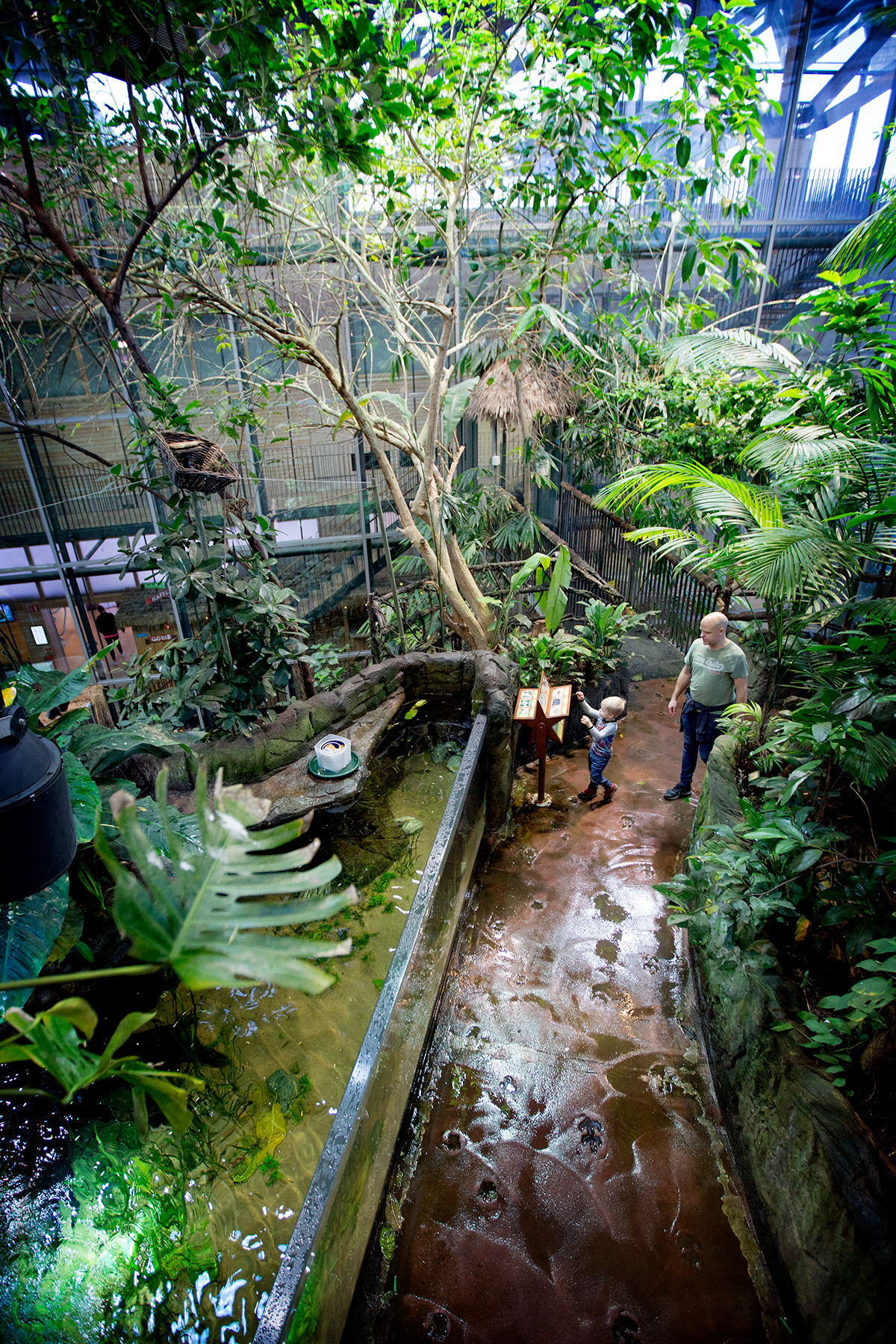blogg-171227universeum25.jpg