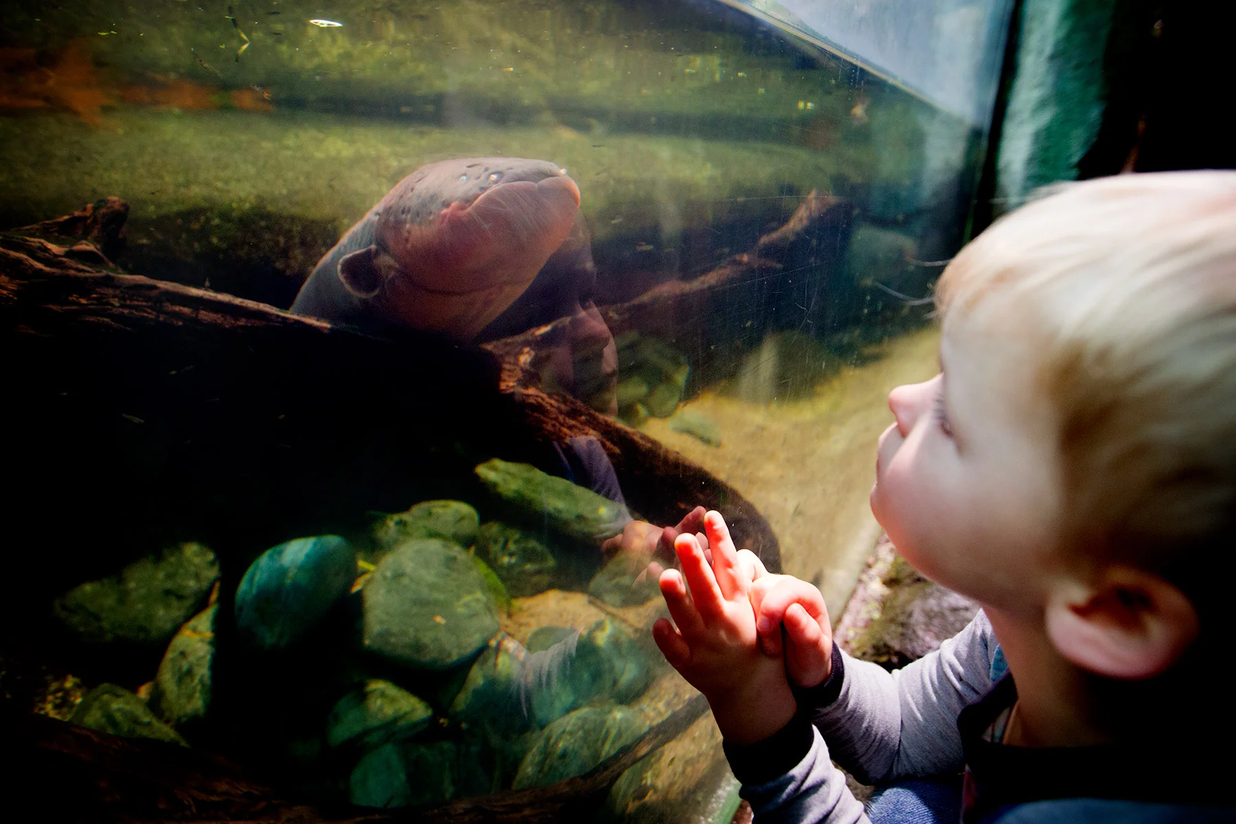 blogg-171227universeum24.jpg