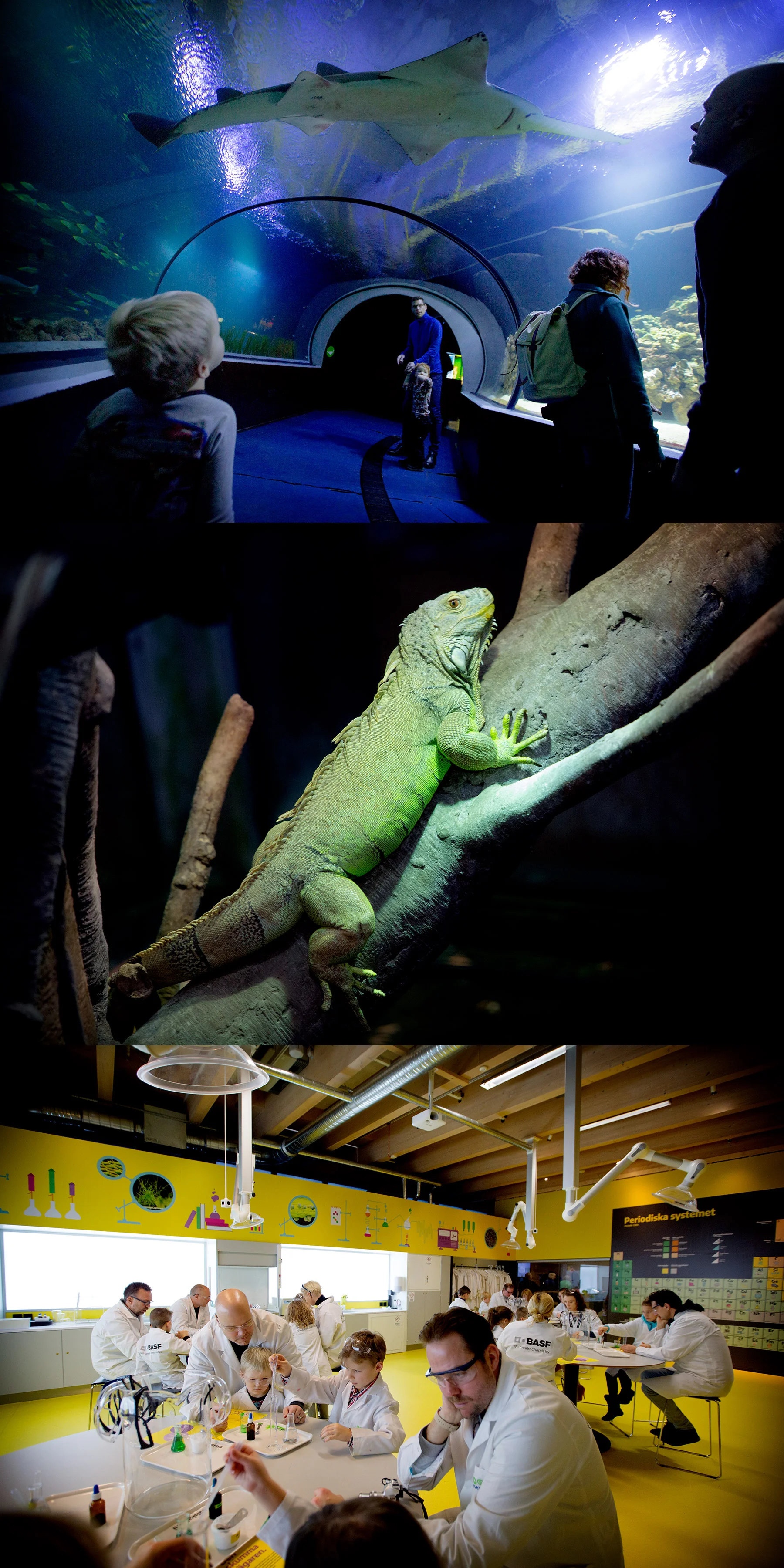 Universeum
