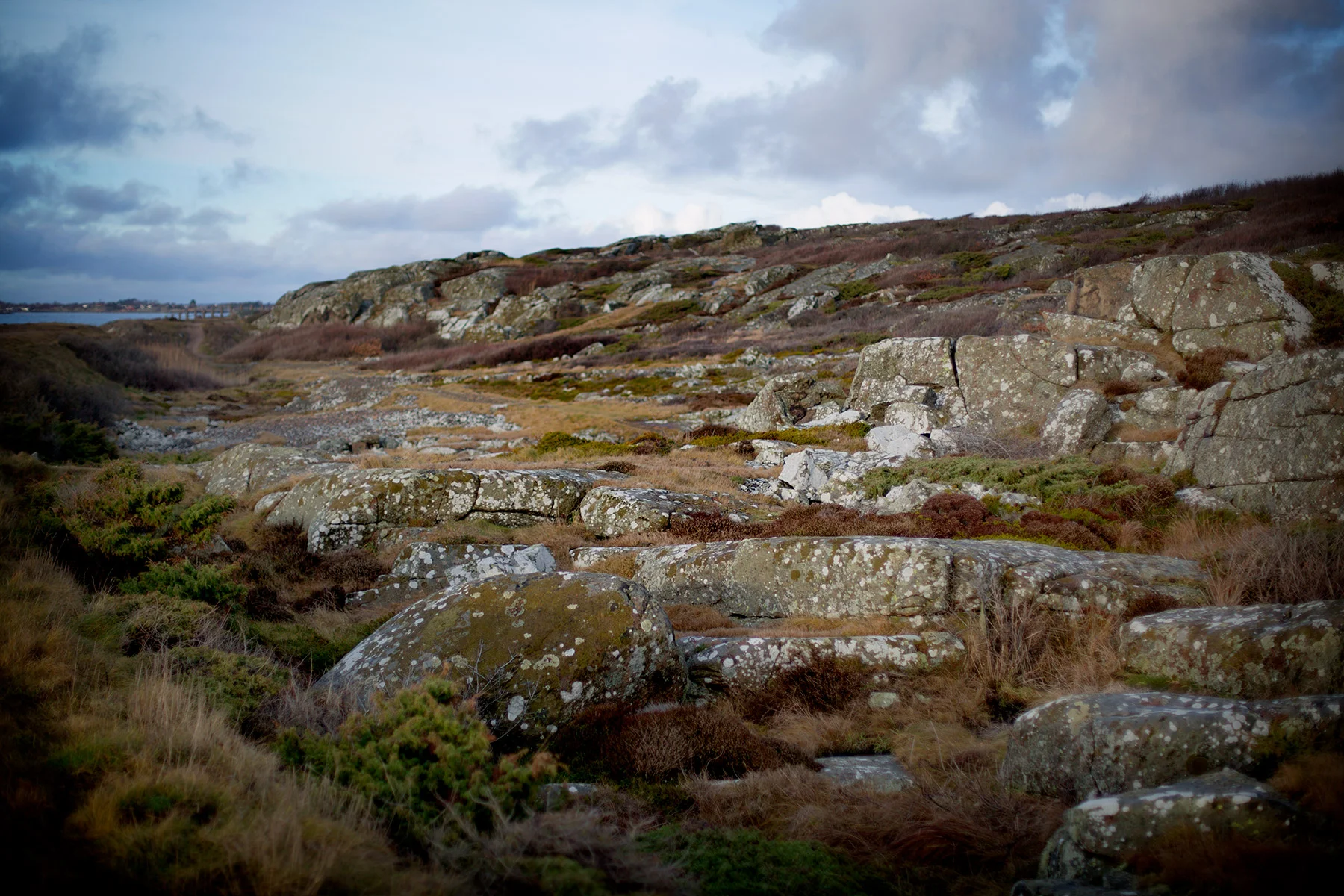blogg-171228varbergstrandpromenaden8.jpg