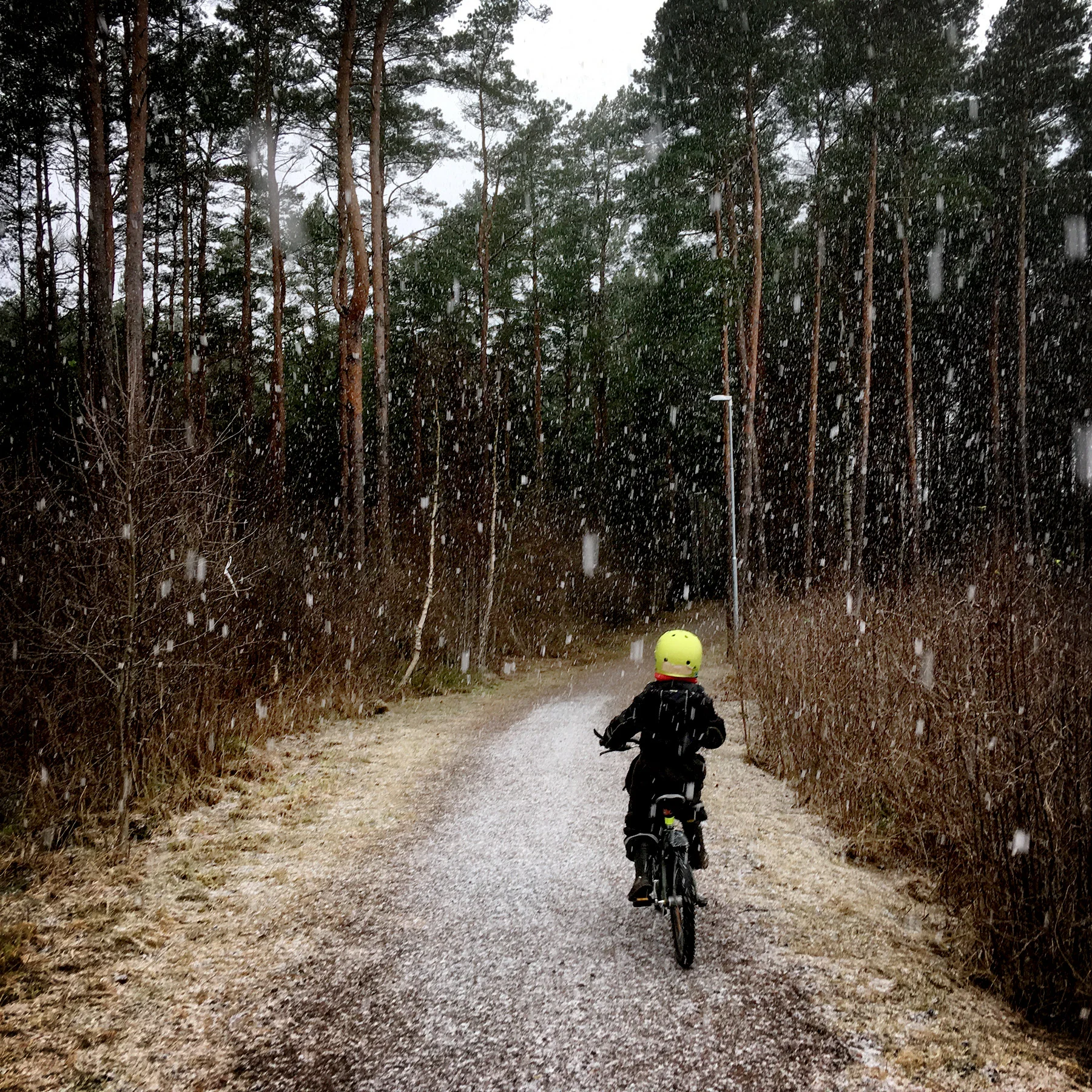 blogg-171230plogga3.jpg