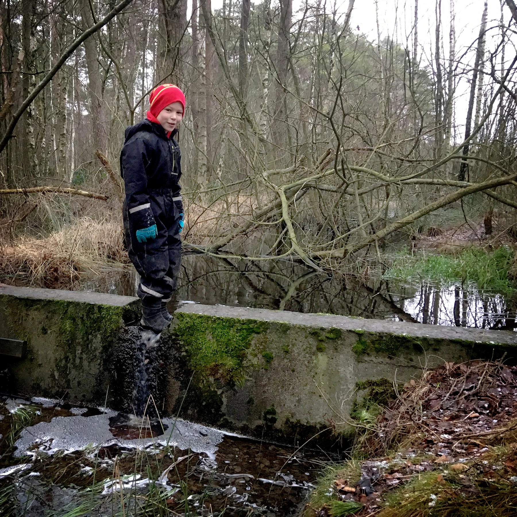 blogg-171230plogga4.jpg
