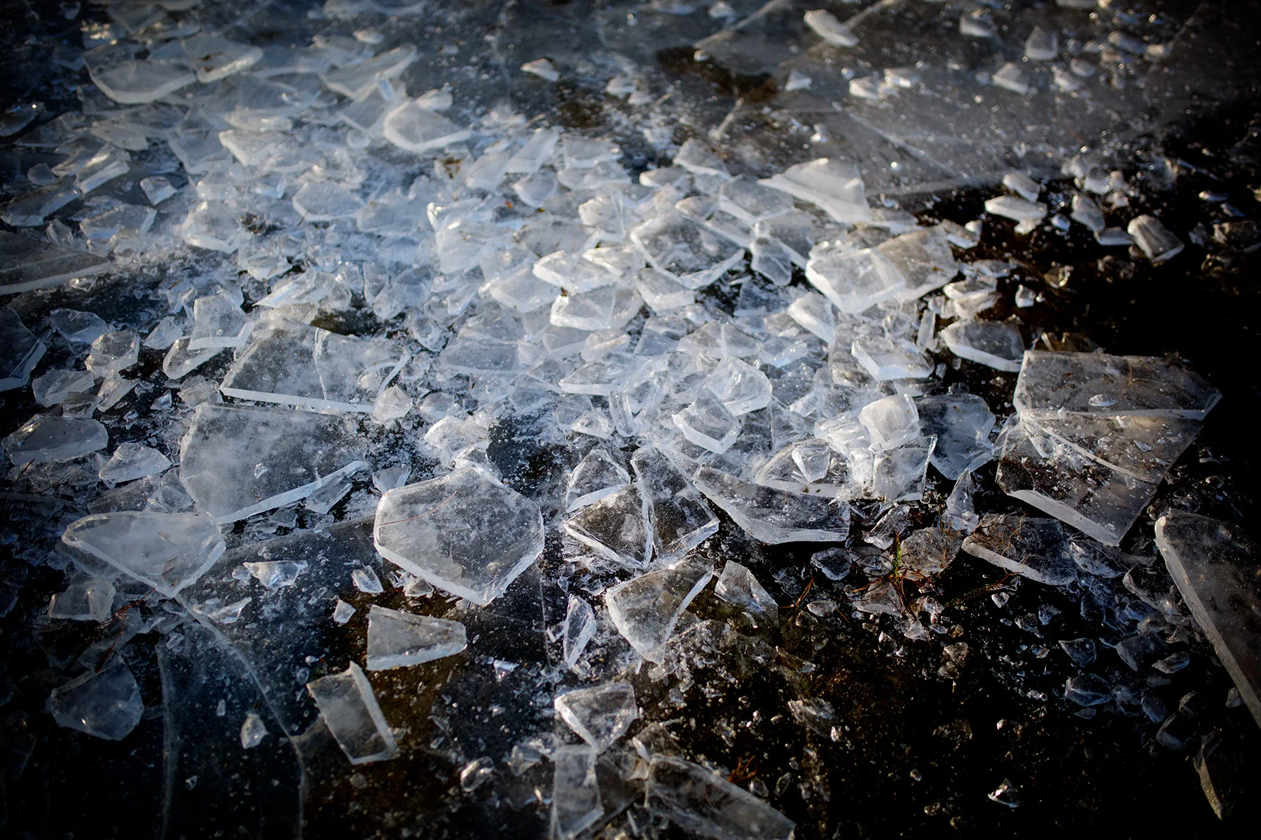 blogg-180108ispabale15.jpg