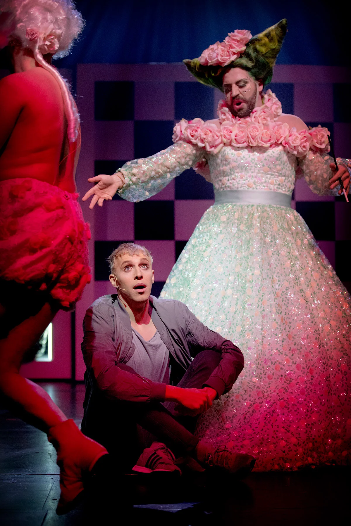 blogg-180118pippin20.jpg