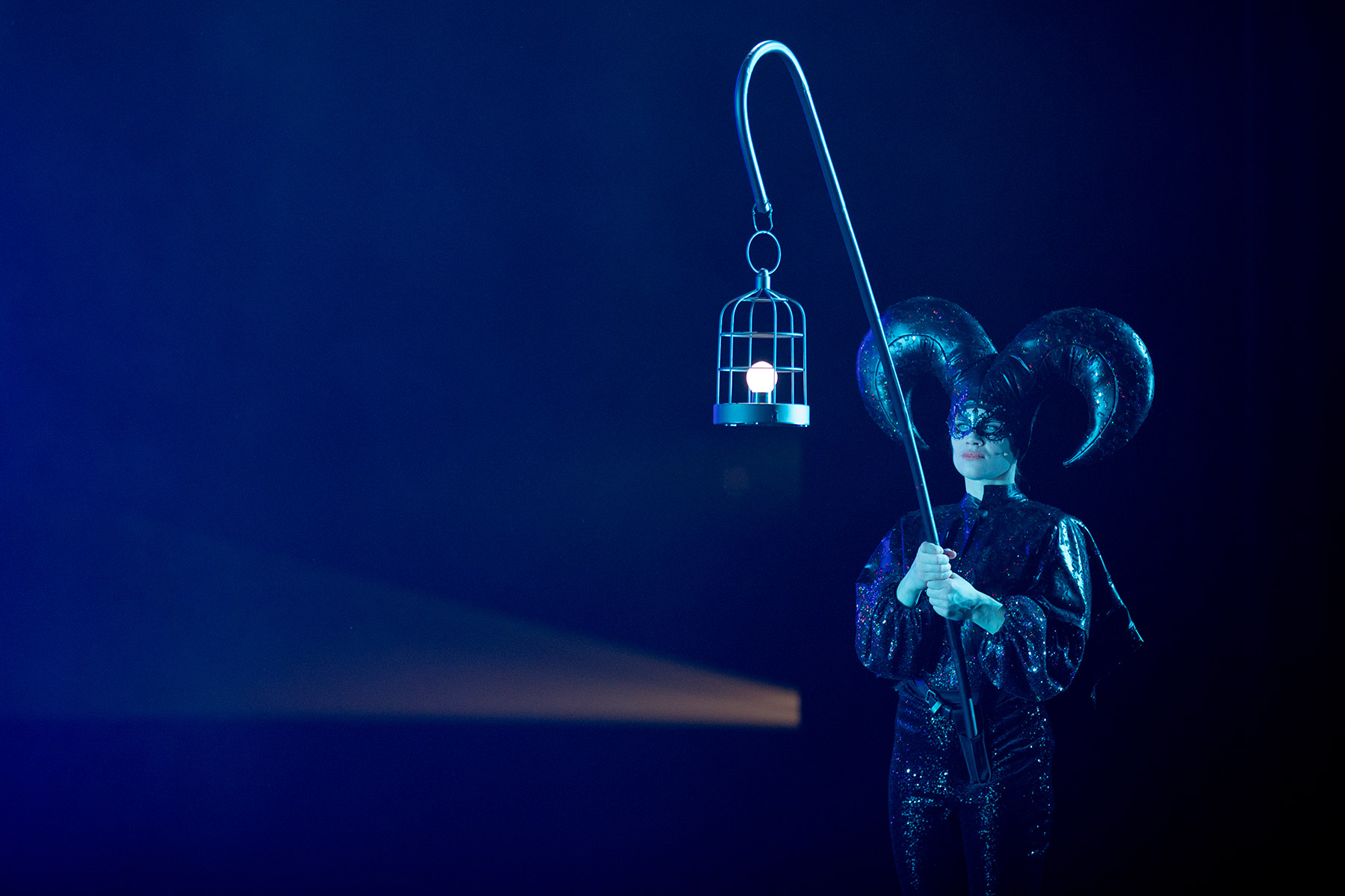 blogg-180118pippin52.jpg