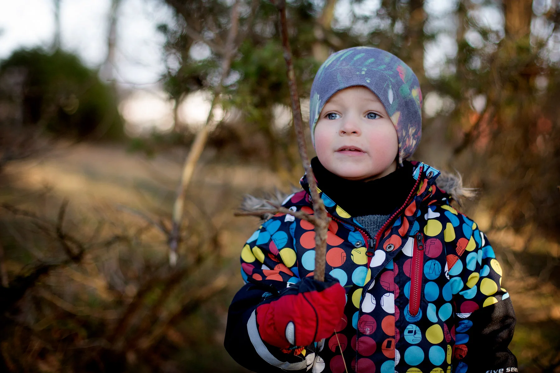 blogg-170209storaberget3.jpg