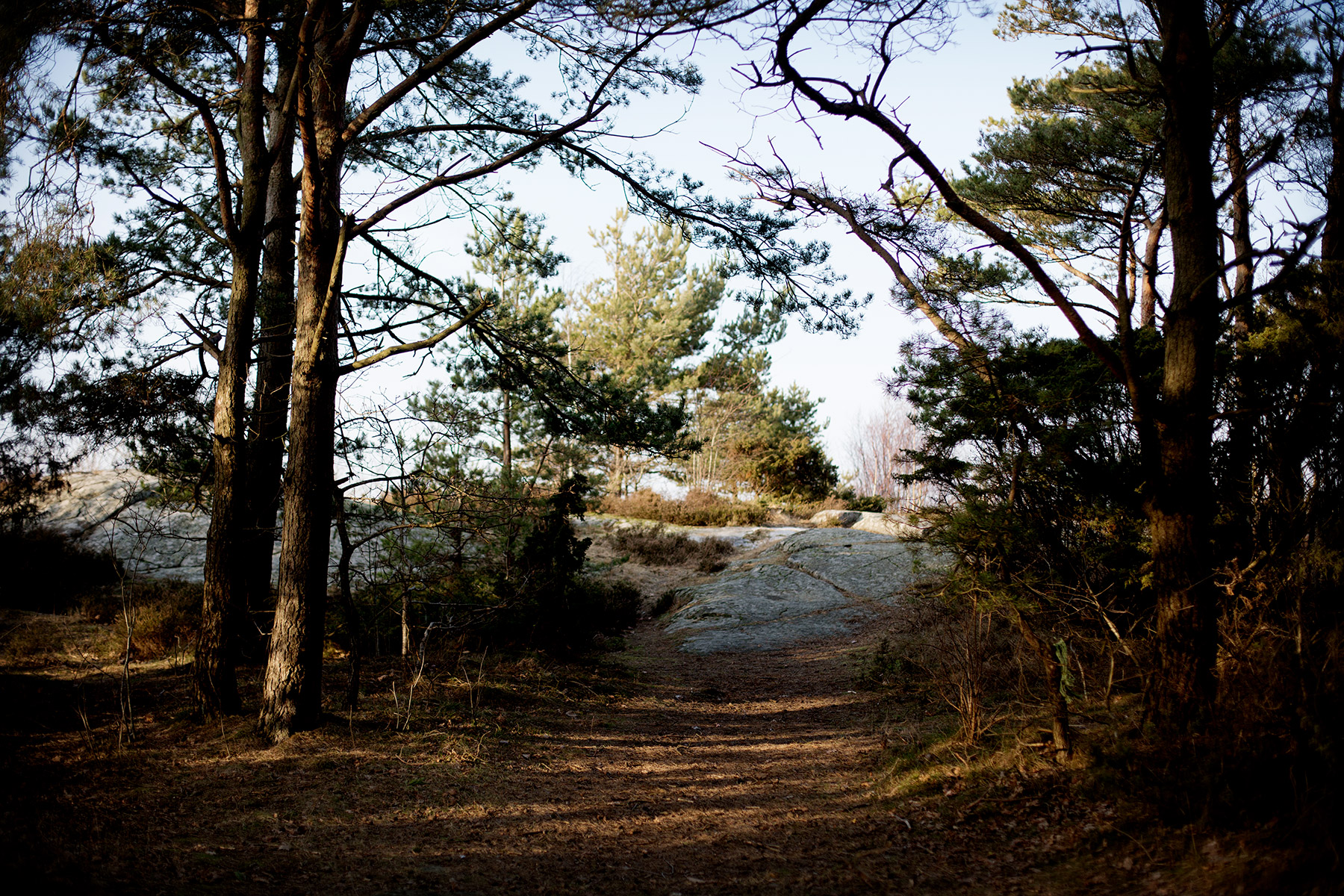 blogg-170209storaberget6.jpg