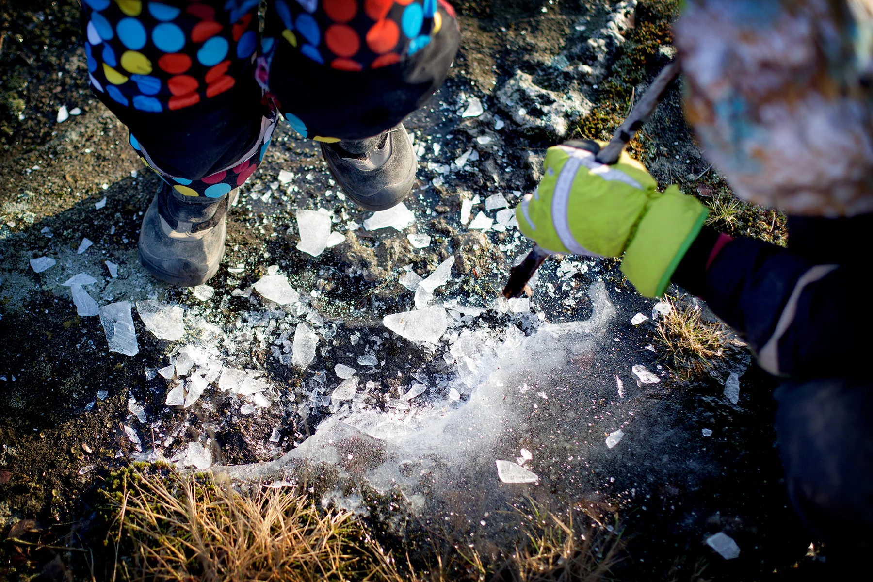 blogg-170209storaberget16.jpg