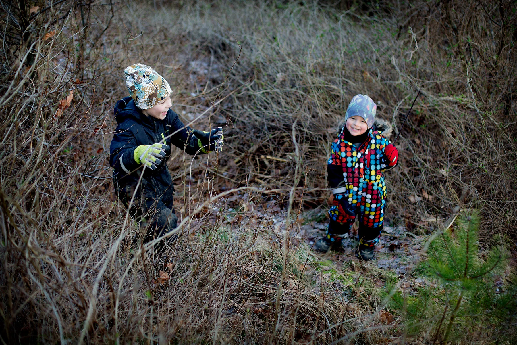 blogg-170209storaberget24.jpg