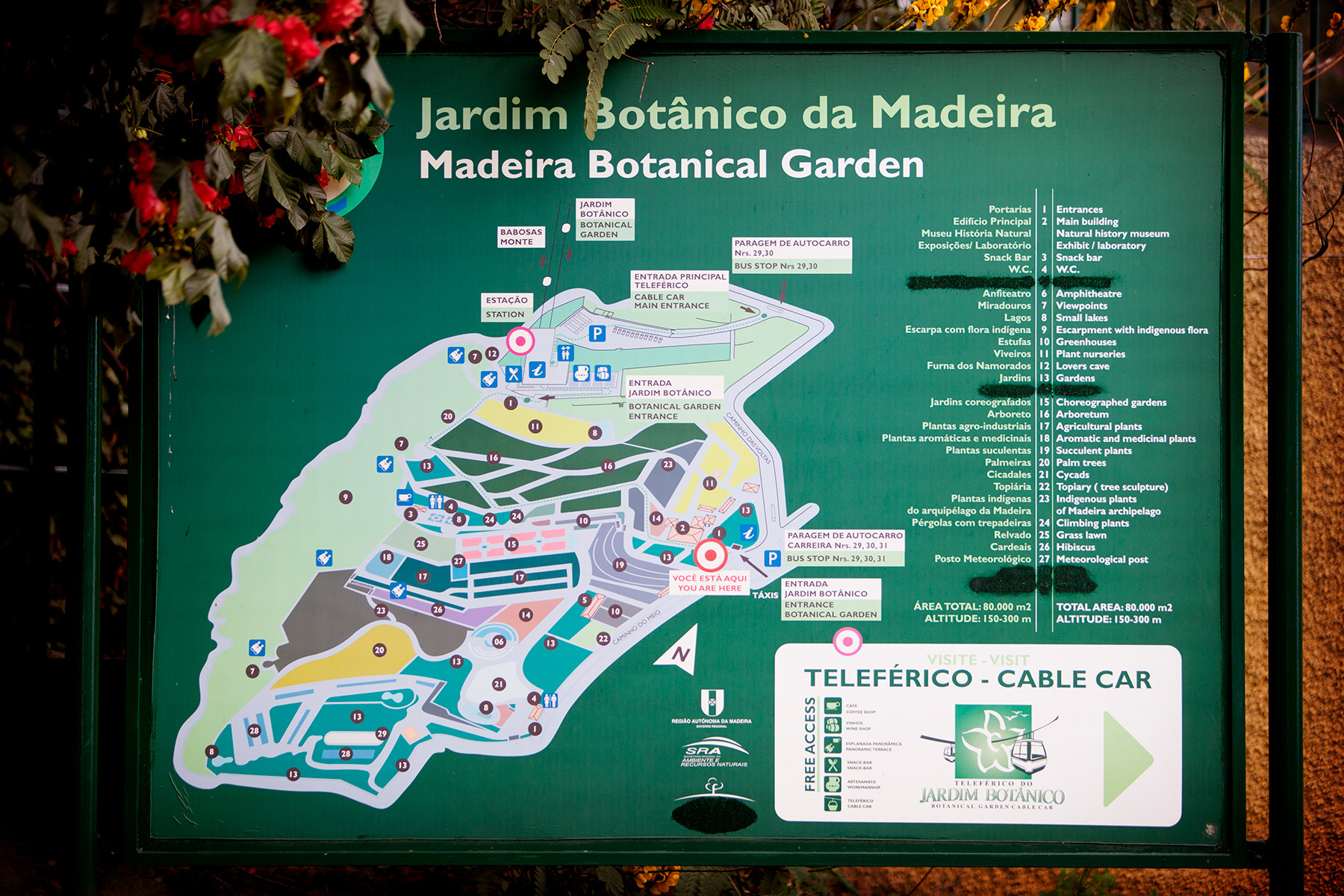 blogg-180214monte7.jpg
