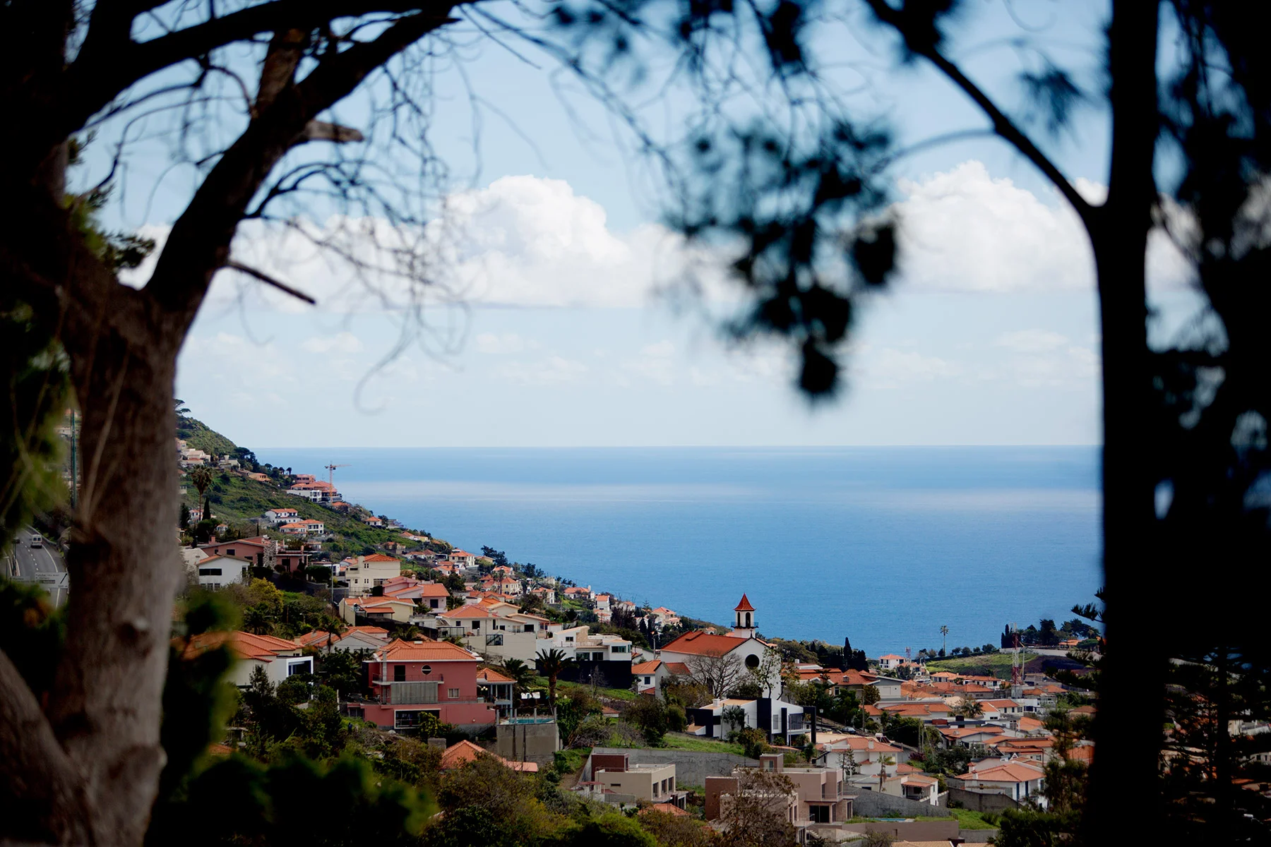 blogg-180214monte9.jpg