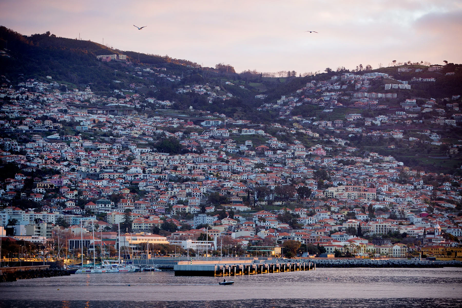 blogg-180217farjanportosanto7.jpg